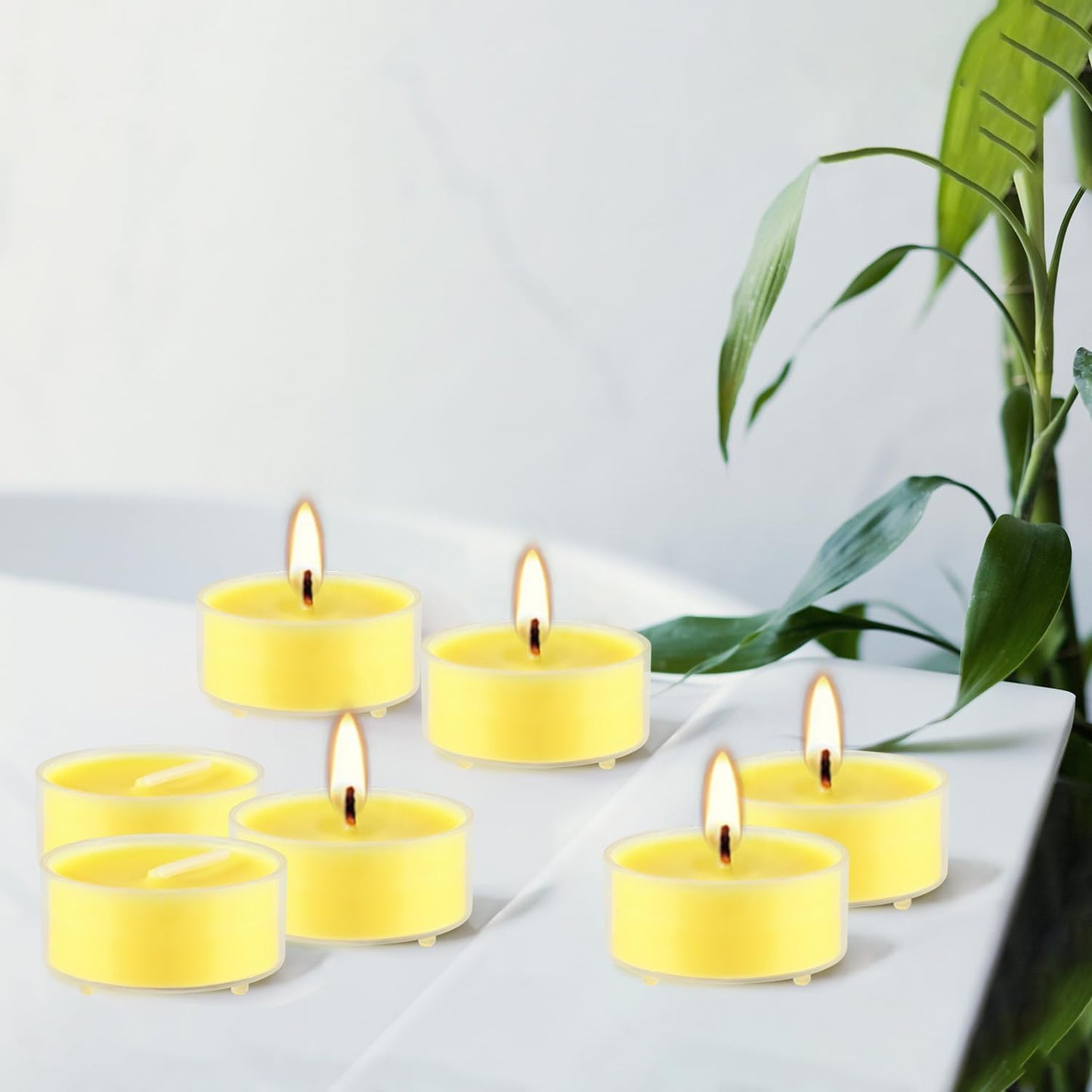 Wfmolcand 3.5-Hour 50Pack Citronella Tealight Candles, Outdoor and Indoor Summer Scented Candle,Natural Soy Wax Candle for Home Patio Garden Yard Balcony,BBQ Birthday Emergency