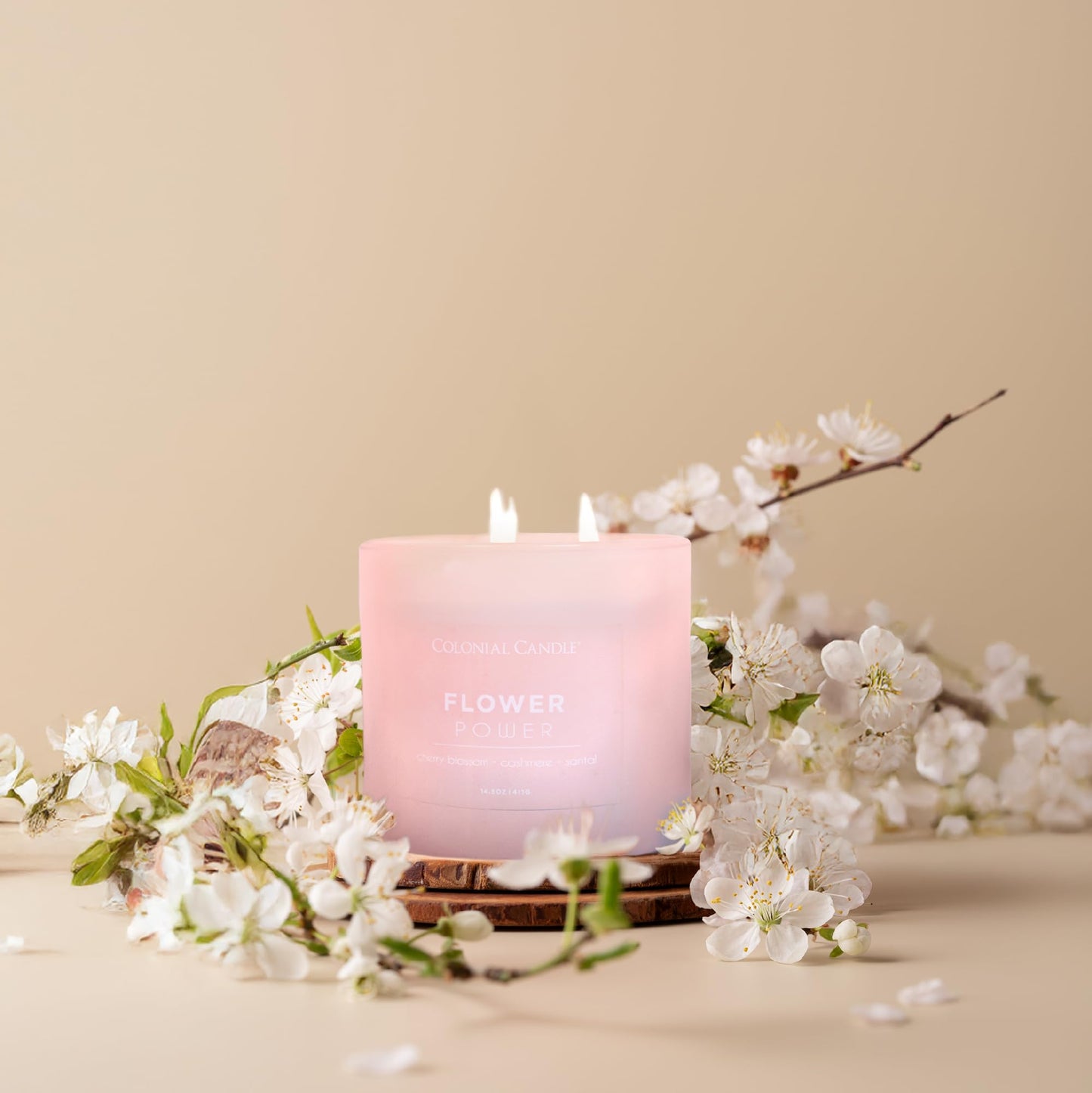 Colonial Candle Flower Power Scented Jar Candle, Pop of Color Collection, 3 Wick, 14.5 oz - Up to 60 Hours Burn