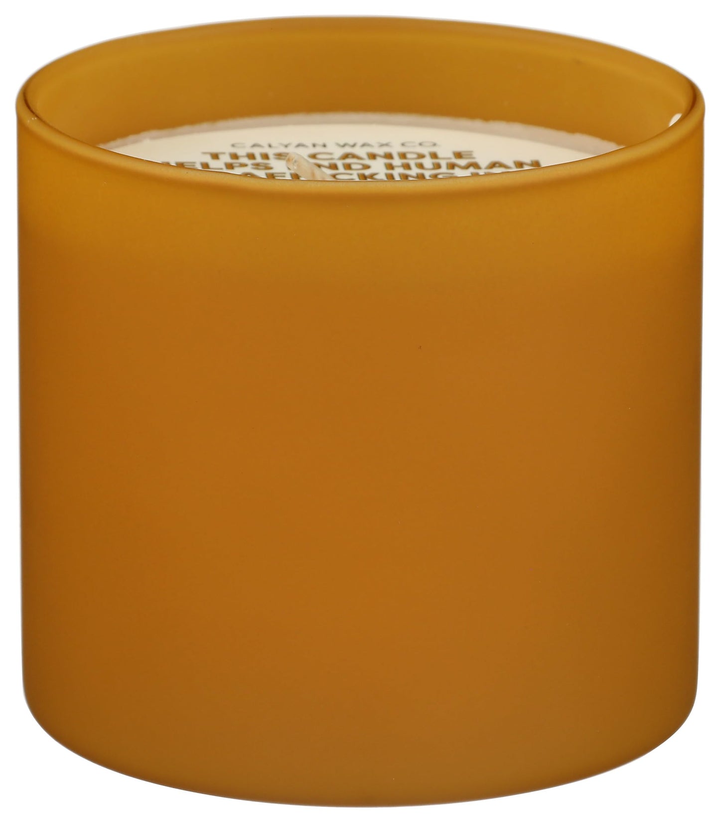 Calyan Wax Co., Candle Matte Gold Vetiver Tonka 5.3 Ounce