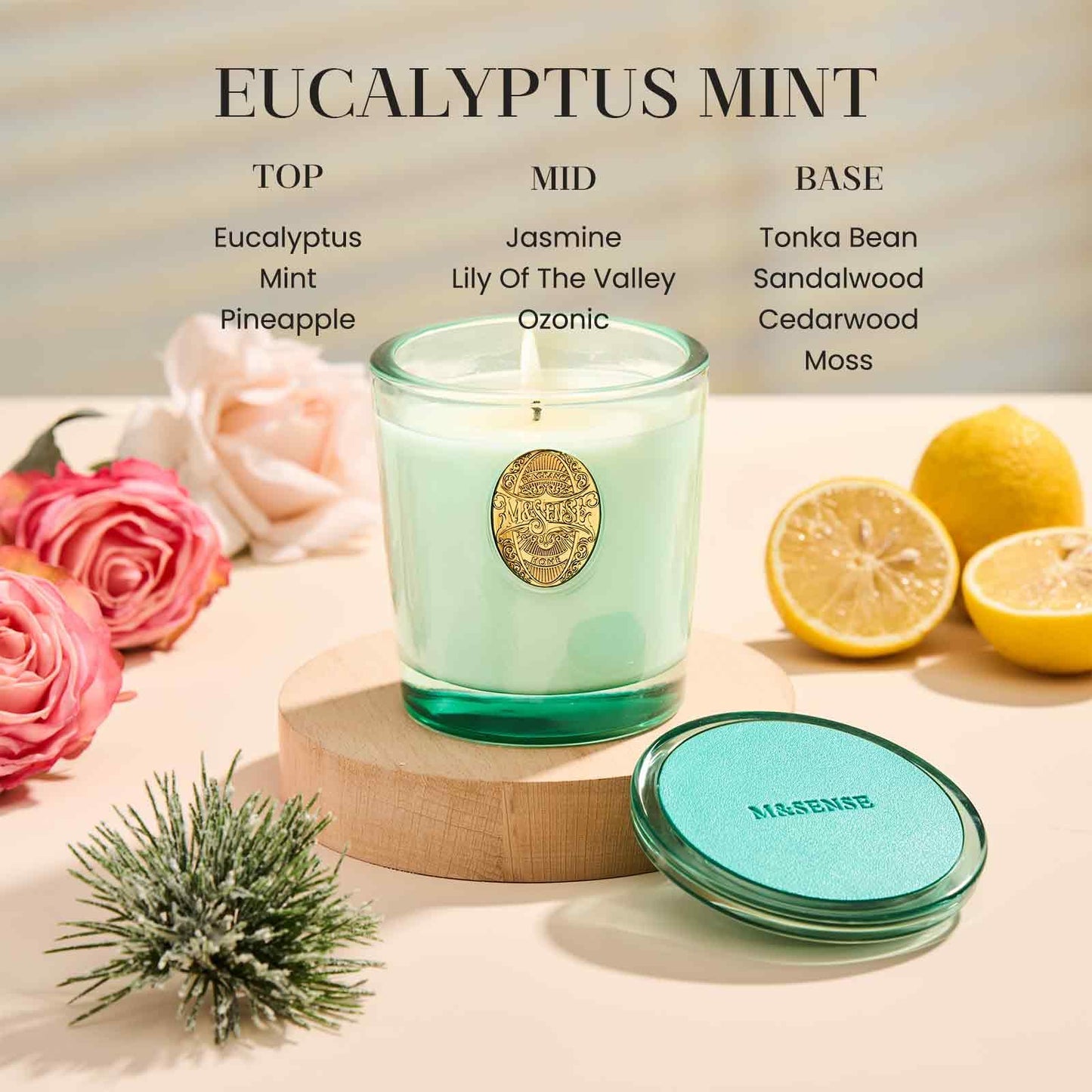 M&SENSE Eucalyptus Mint Aromatherapy Scented Candle for Relaxation |Soy Wax Candle | Calming & Stress Relief | 9.2 OZ, 50-Hour Burn Time | Natural Scent for Home, Office, Gift
