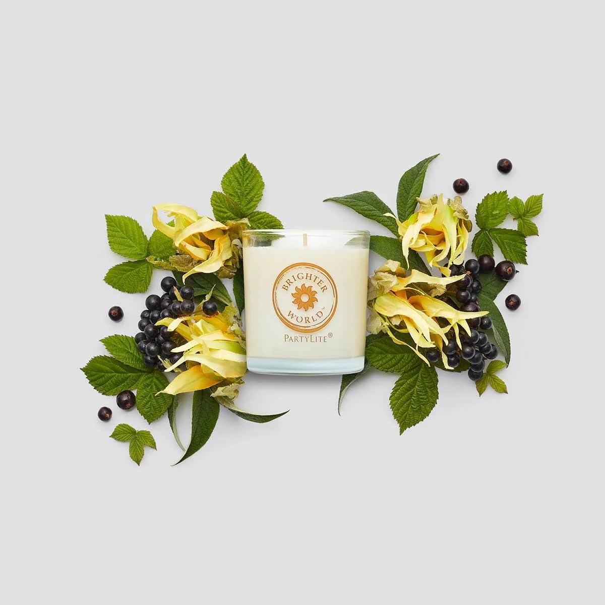 PartyLite Brighter World™ Ylang Ylang Black Currant Jar Candle