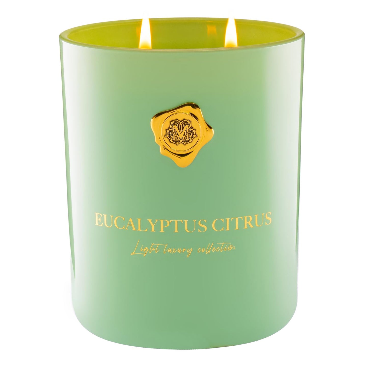 M&SENSE Eucalyptus & Citrus Scented Candle | 90-Hour Burn,16.6 oz | Long-Lasting for Mood Healing and Gifting | Natural Non-Toxic Soy Wax | for Bathroom, Kitchen, Office