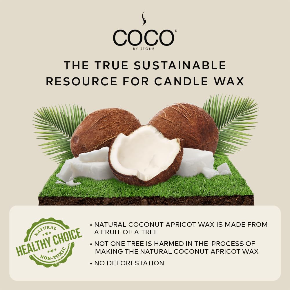 COCO by Stone 6.5oz Candle, Coconut Apricot Wax Candle for Home (White Tea), Home Fragrance Product, 1-Wick Candle, Enhances Indoor Aroma, Vegan & Cruelty-Free, Clean Burning, Hand-Poured