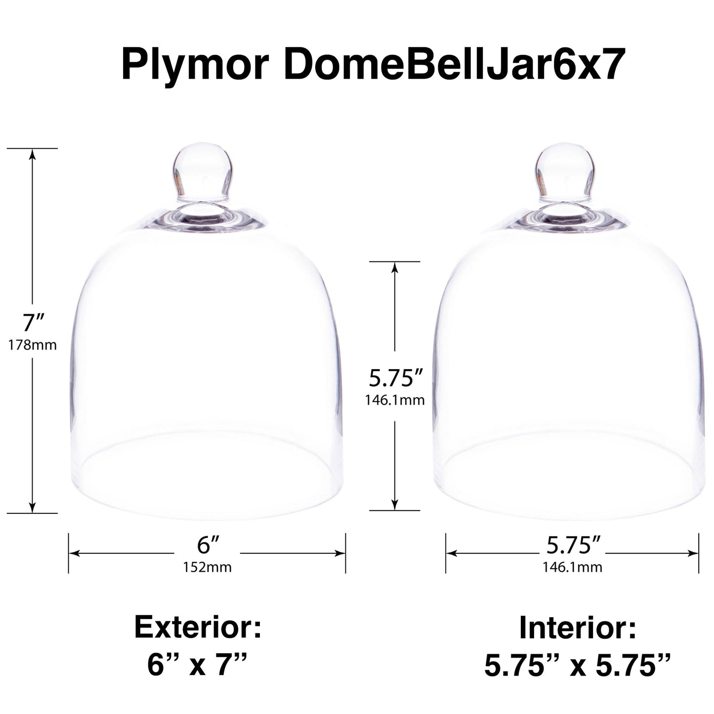 Plymor 6" x 7" Bell Jar Glass Display Dome Cloche (Small - Interior Size 5.75 inch x 5.75 inch)