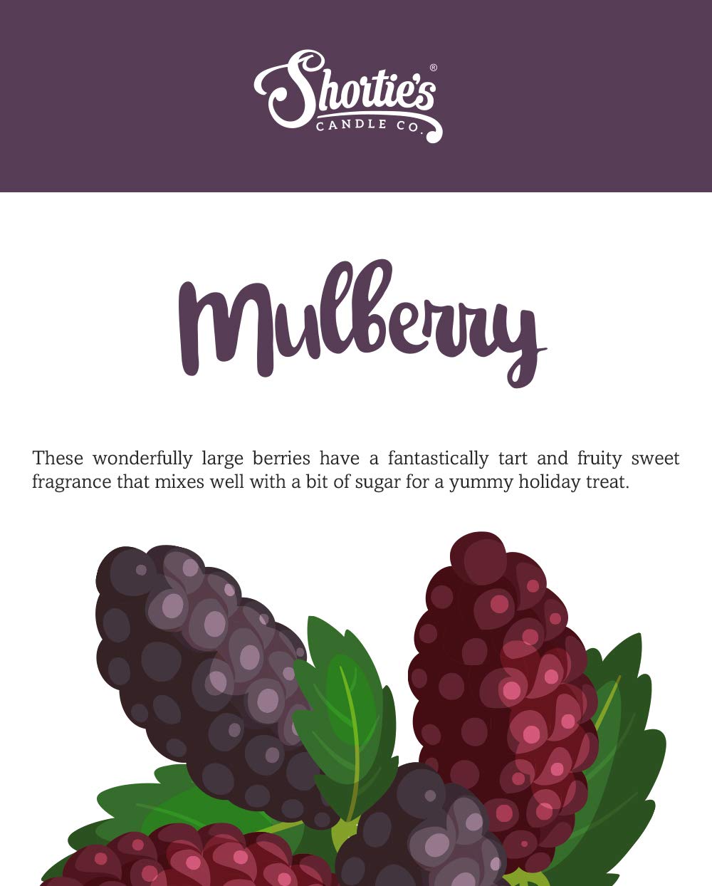 Shortie's Candle Company Mulberry Premium Wax Melts 2 Pack - 6 Oz., Strong & Long Lasting, Non-Toxic - Made with Essential & Natural Oils - Formula 117