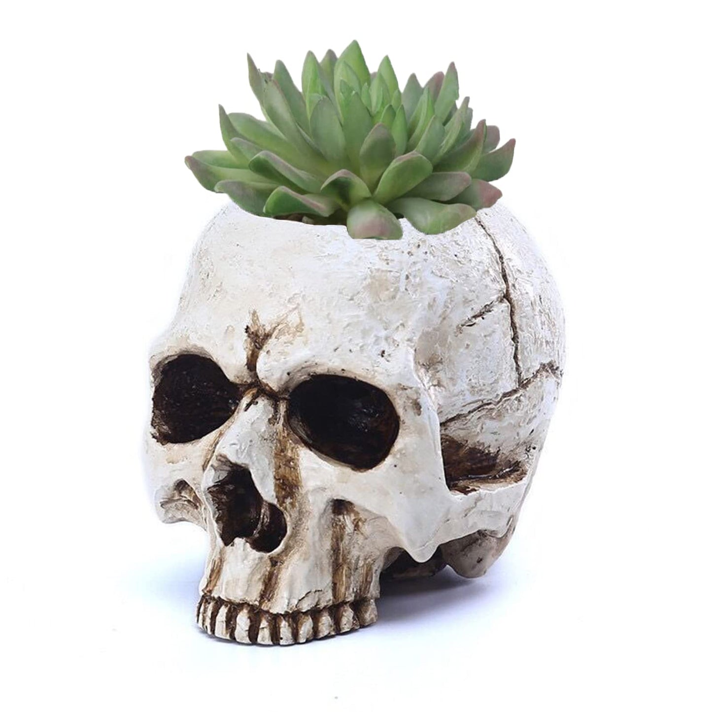 VICDUEKG Skull Candle Holder Skeleton Candlestick Holders Spooky Tealight Cup Gothic Decor Resin Candlestick Crafts for Halloween Christmas Home Party Graveyard Outdoor Bar Decoration, White, 1 Pieces