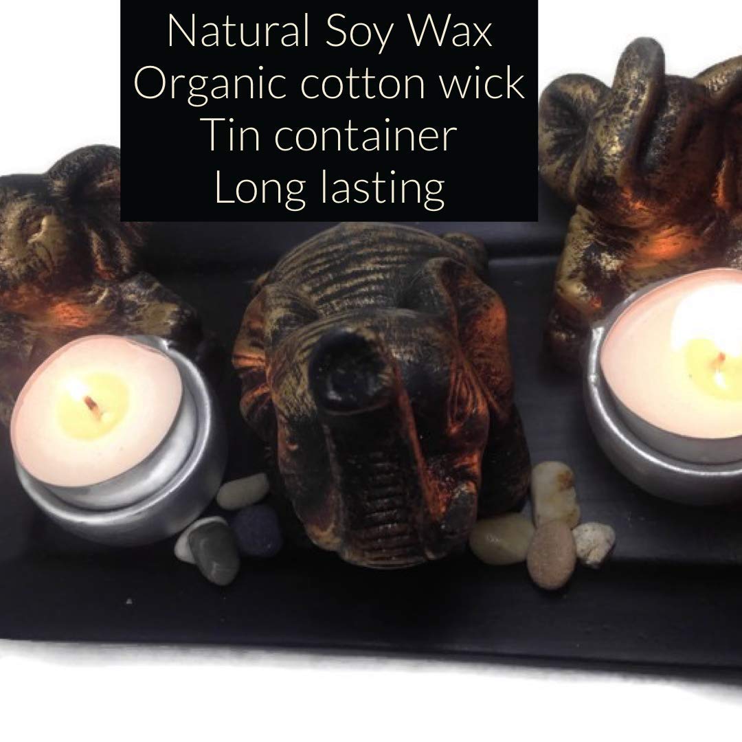 Unscented Organic Vegan Soy Wax Tea Light Tin 20