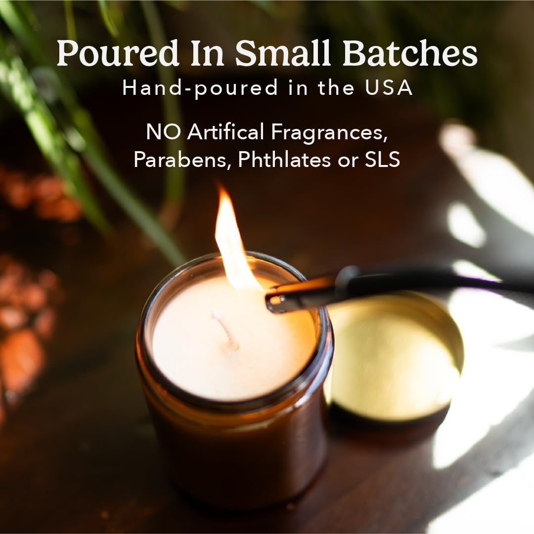 PACHA SOAP Co. Vanilla Almond Candle, 7 oz - Scents of Almond, Coconut and Cherry - Clean Burning, Soy, Coconut & Apricot Wax, Lead-Free Wick, Cruelty-Free, Recyclable