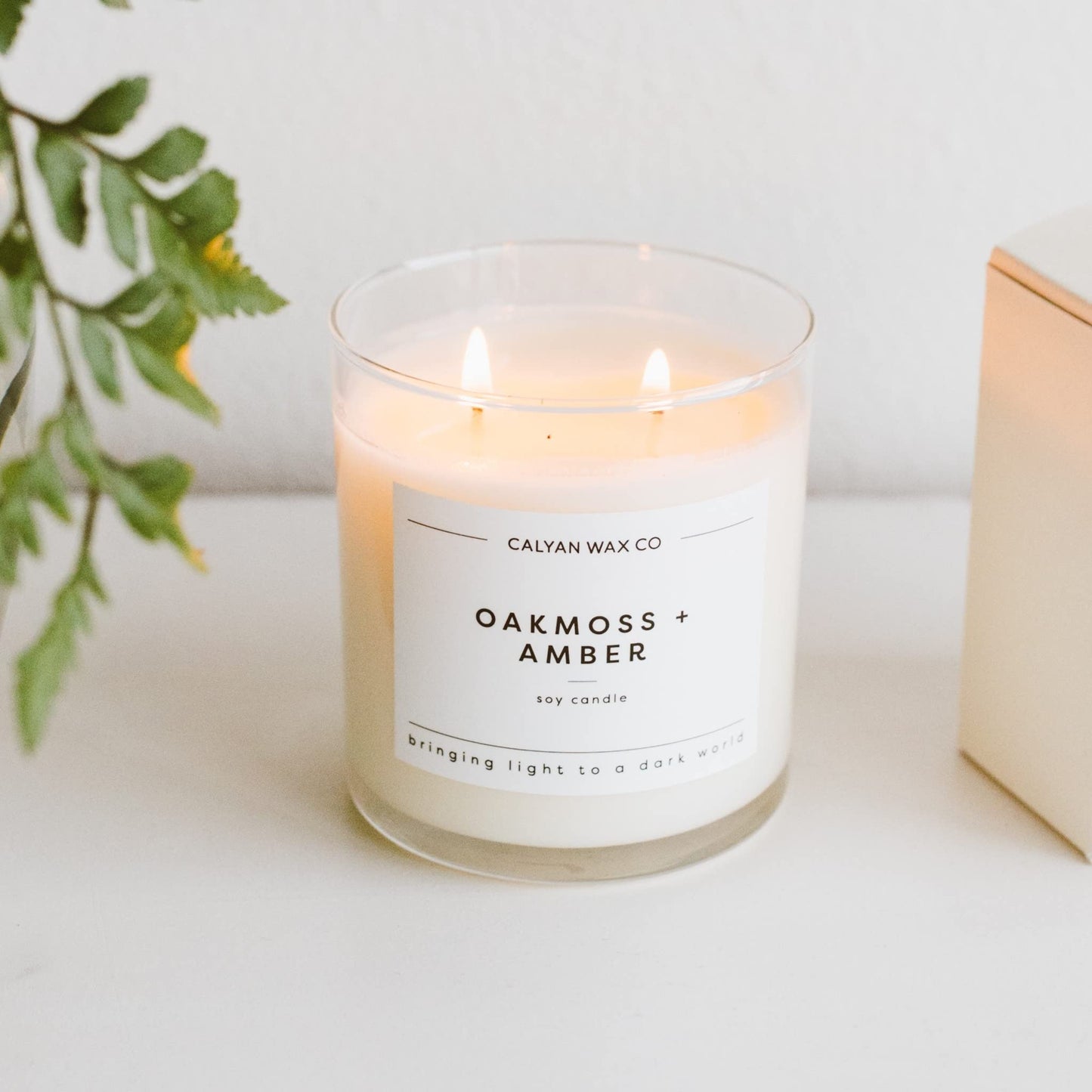 Calyan Wax Co. Oakmoss & Amber 2 Wick Scented Candle - 37 Hour Burn - Luxury Clean Soy Wax Candles - Long Lasting Large Glass Jar Candle for Home - 8.8oz