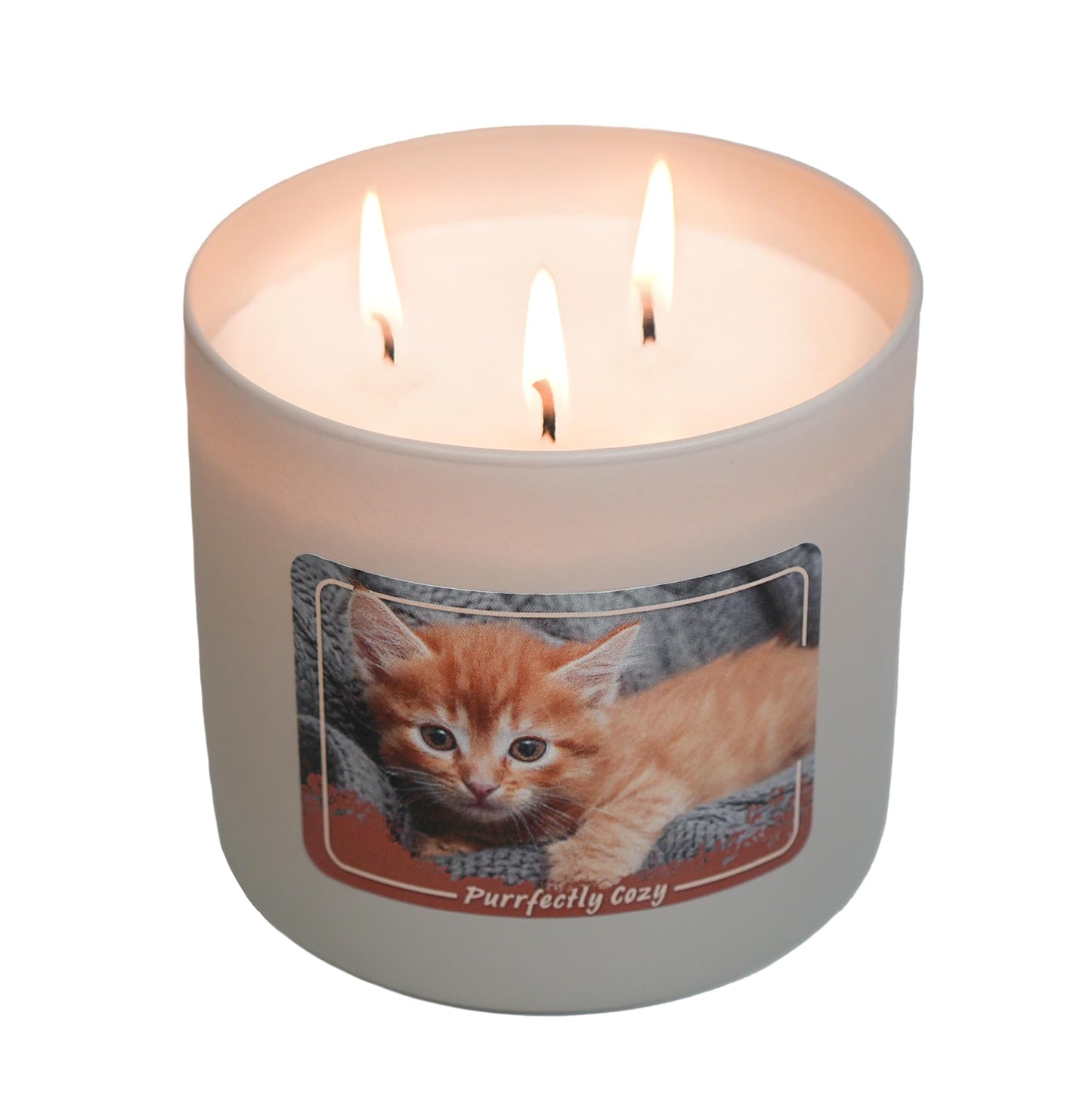 Colonial Candle Purrfectly Cozy Scented Jar Candle, 14 oz - Warm & Comforting Fragrance, Long-Lasting Burn, Made in The USA