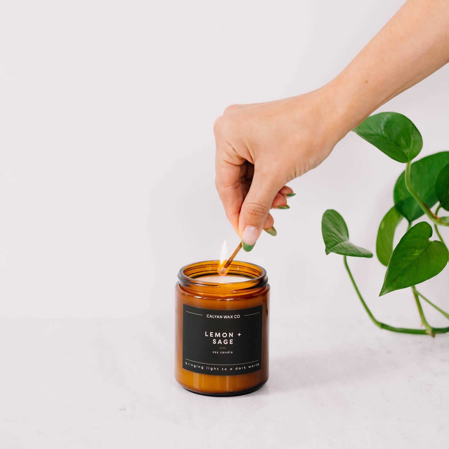 Calyan Wax Co. Cedar & Tobacco Scented Candle - 57 Hour Burn - Luxury Clean Soy Wax Candles - Long Lasting Amber Glass Jar Candle for Home - 7.2oz