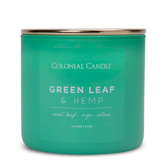 Colonial Candle Green Leaf & Hemp Scented Jar Candle, Pop of Color Collection, 3 Wick, Green, 14.5 oz - Up to 60 Hours Burn