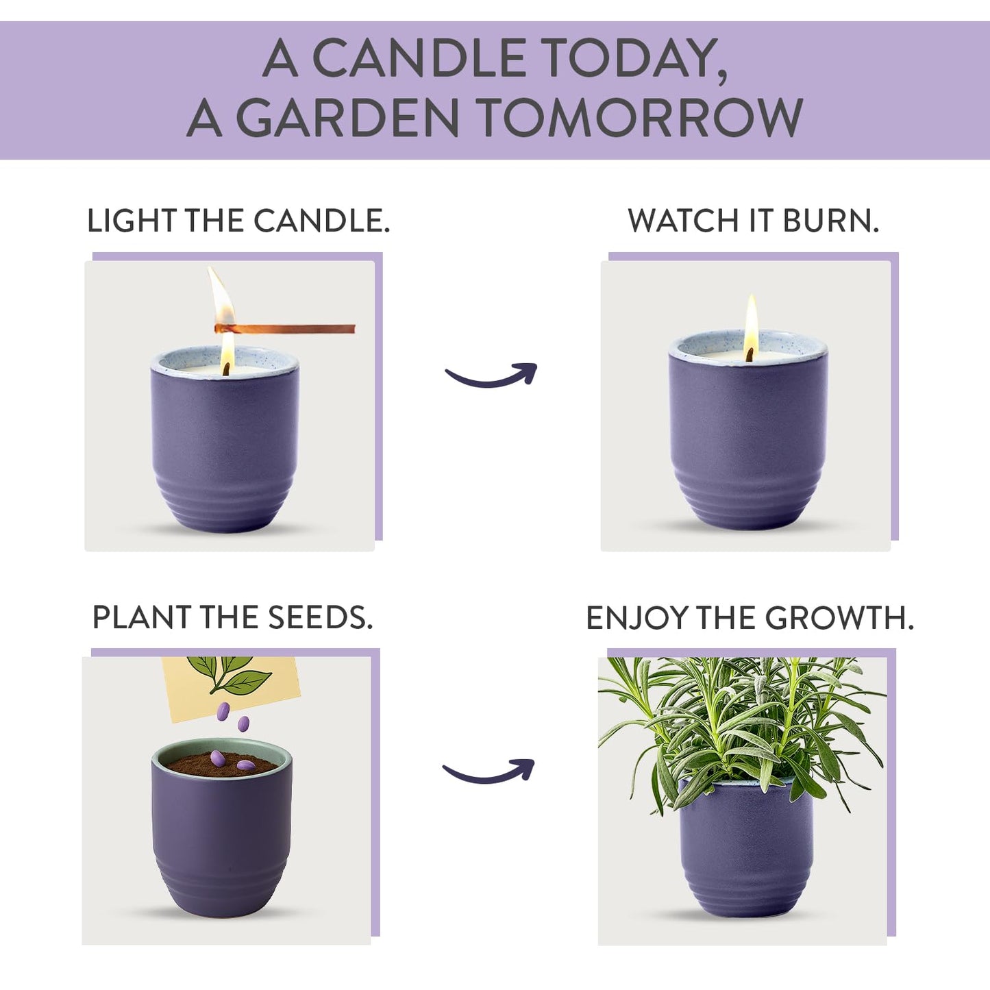Modern Sprout - 2-in-1 Soy Candle & Planter - Violet Hour (Lavender, Grape Soda, Wild Iris, Violet) 6 Oz Scented Candle w/Lavender Seeds - Ceramic Vessel Dual Purpose Jar - 38-40 Hour Burn