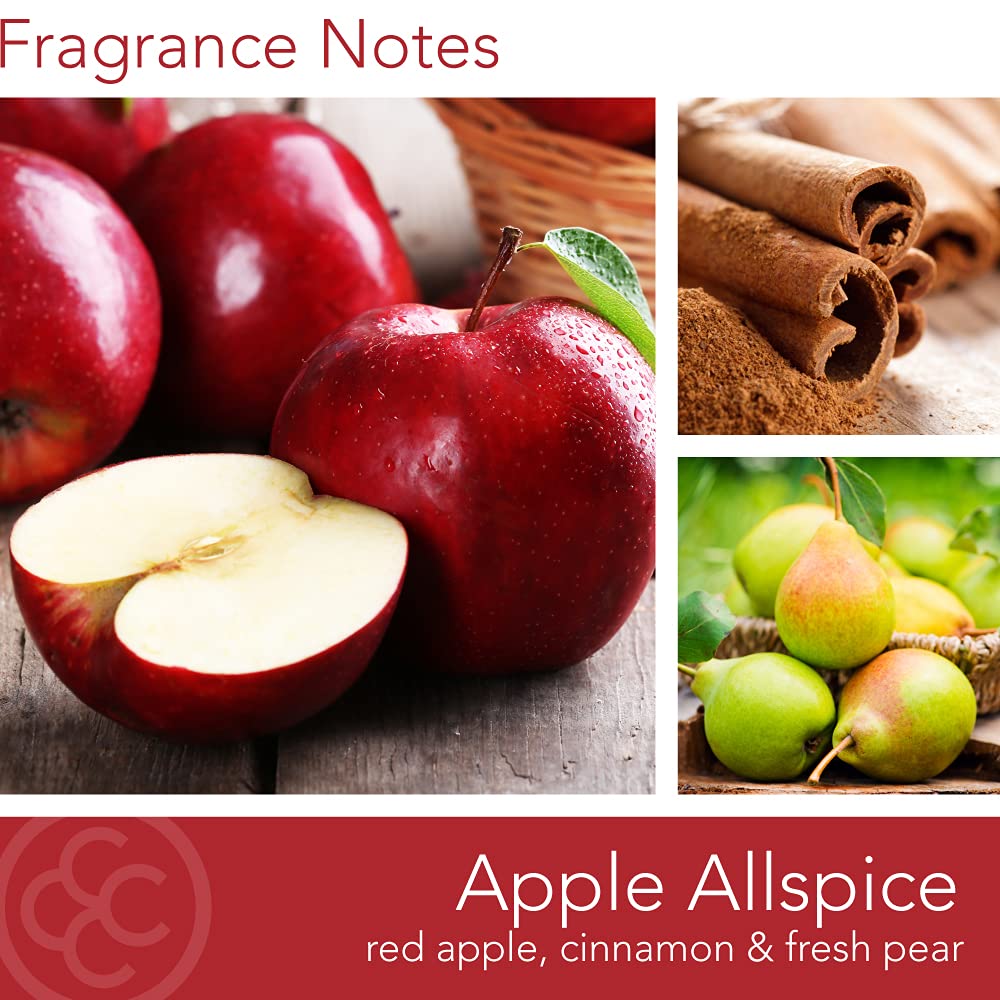 Colonial Candle Apple Allspice Scented Jar Candle, Classic Cylinders Collection, 2 Wick, Red, 19 oz - Up to 120 Hours Burn