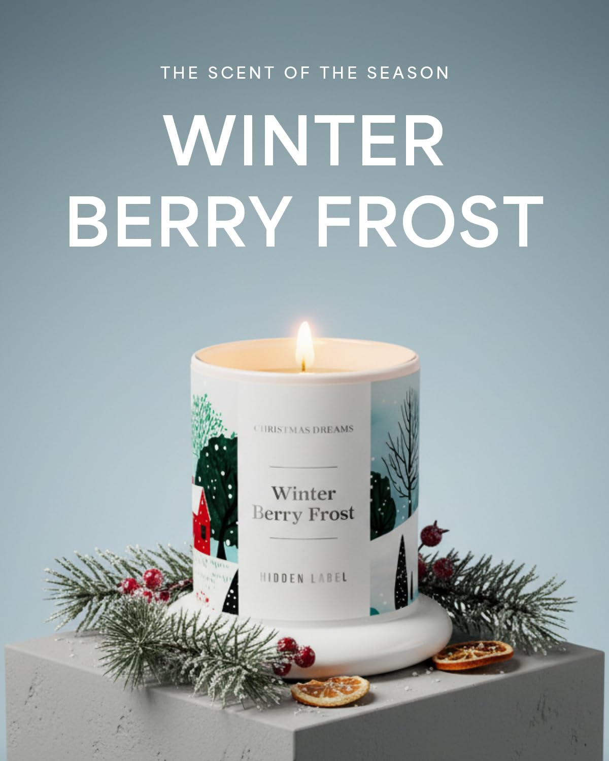 Hidden Label Winter Berry Frost Scented Candle, 10oz Natural Soy Wax in Clear Bell Jar, 60Hours Long-Lasting, Clean Burn, Non Toxic, Aromatherapy Candles for Home, Gifts for Women, Family, Holiday