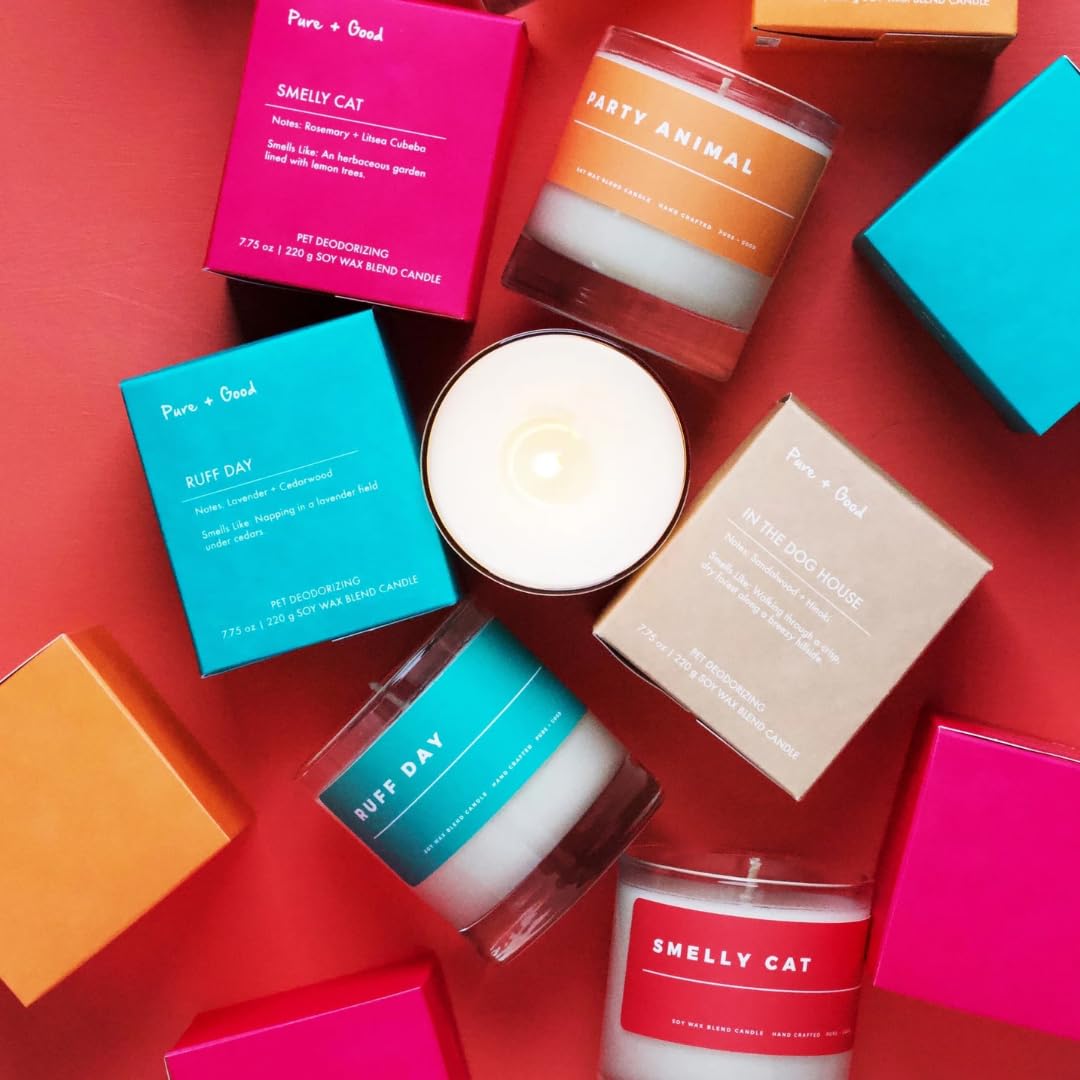 Pure + Good - Party Animal Candle, Premium Soy Wax Blend, Orange and Lime, Made in The USA, 7.75 oz