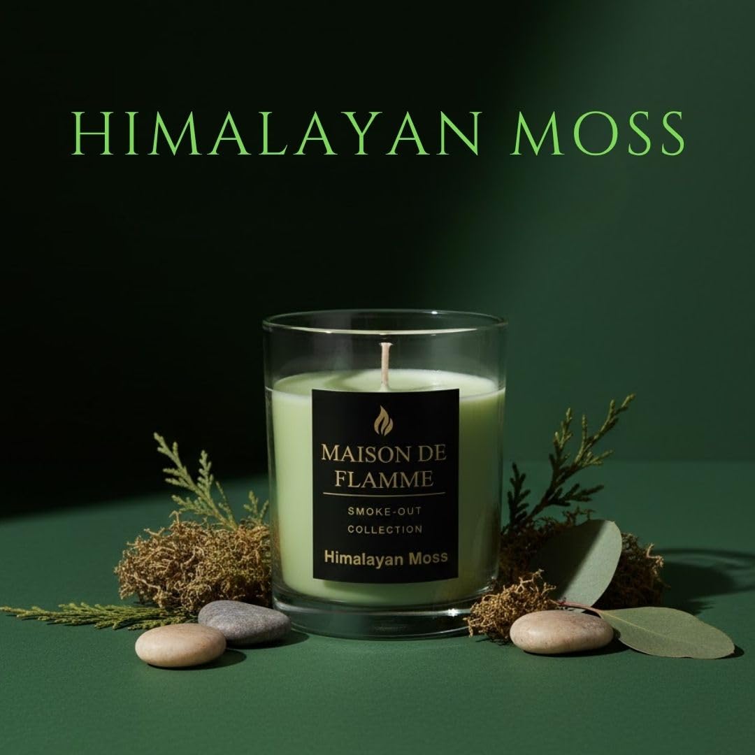 Smoke Odor Eliminating Candle – Himalayan Moss Soy Wax Candle for Kitchen, Apartment & Home Smells, Long Lasting Odor Neutralizing Scented Candle, 150g / 5.3 oz – Maison De Flamme