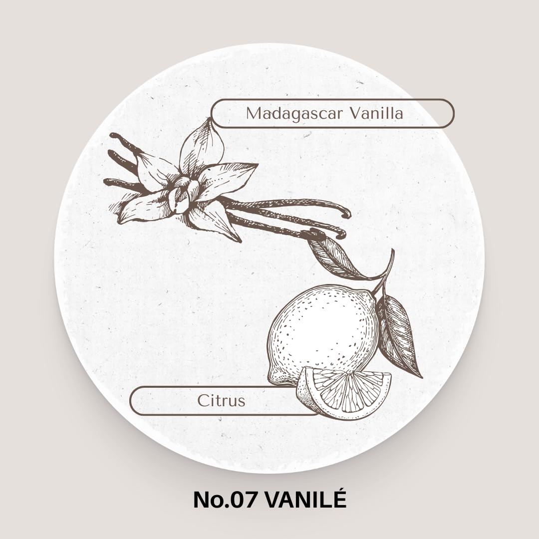 MODERATO Los Angeles No.07 VANILÉ – Luxury Madagascar Vanilla Scented Coconut Wax Candle, Creamy & Sophisticated, Citrus, Crystal Clear Glass Vessel, 50 Hour Burn, Candle Gift, Made in USA 8.5oz