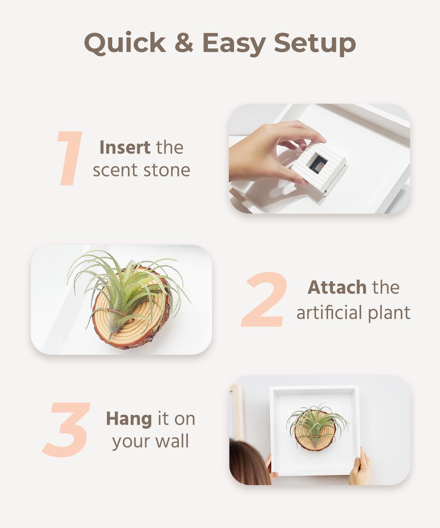 arscent Faux Air Plant Bathroom Wall Decor with Scent Stone Diffuser, Decorative Air Freshener, 3D Botanical Wall Art for Bedroom, Entryway & Small Spaces, Green Tillandsia Ionantha