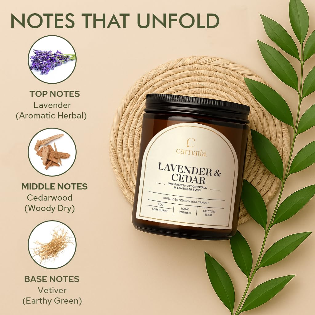 Carnatia Lavender & Cedar Scented Candle – 7 oz | 100% Soy Wax with Cotton Wick | 50 Hour Burn | Aromatherapy Candle for Home, Calm Focus & Relaxation | Gift for Women & Men