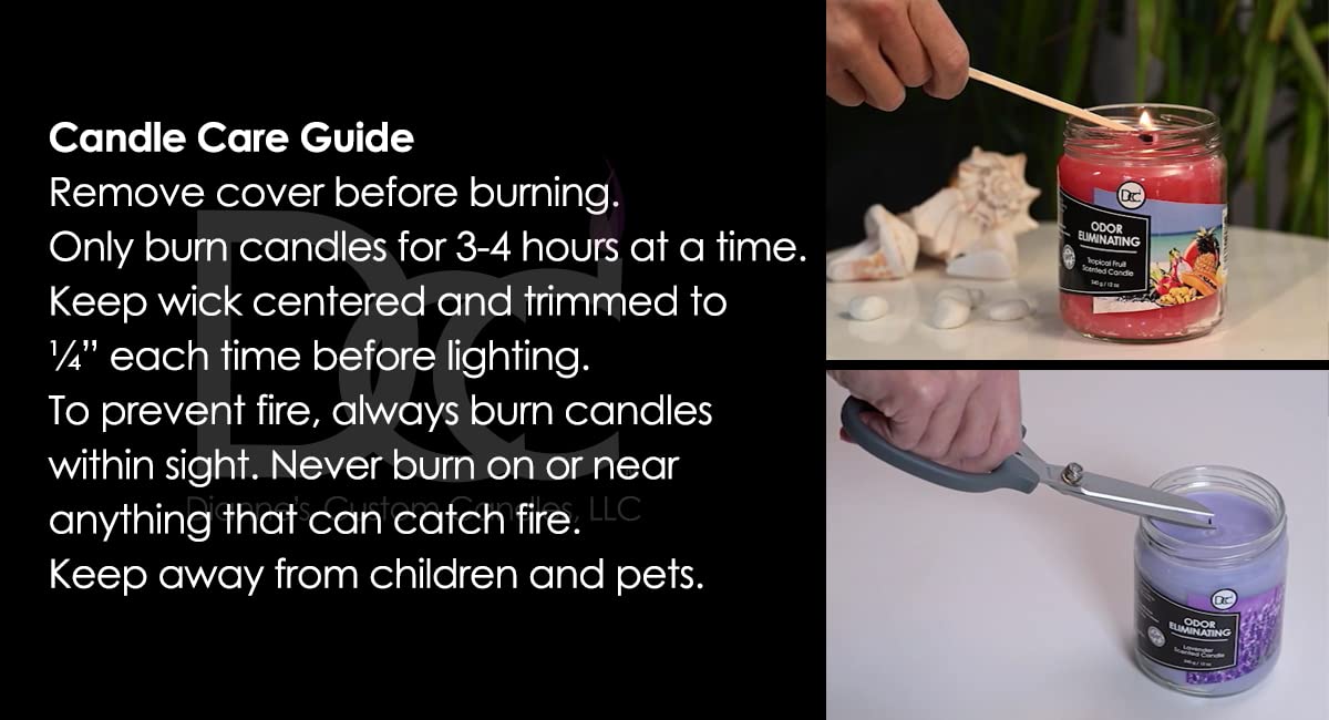 Vetiver Odor Eliminating Highly Fragranced Candle - Eliminates 95% of Pet, Smoke, Food, and Other Smells Quickly - Up to 80 Hour Burn time - 12 Ounce Premium Soy Blend