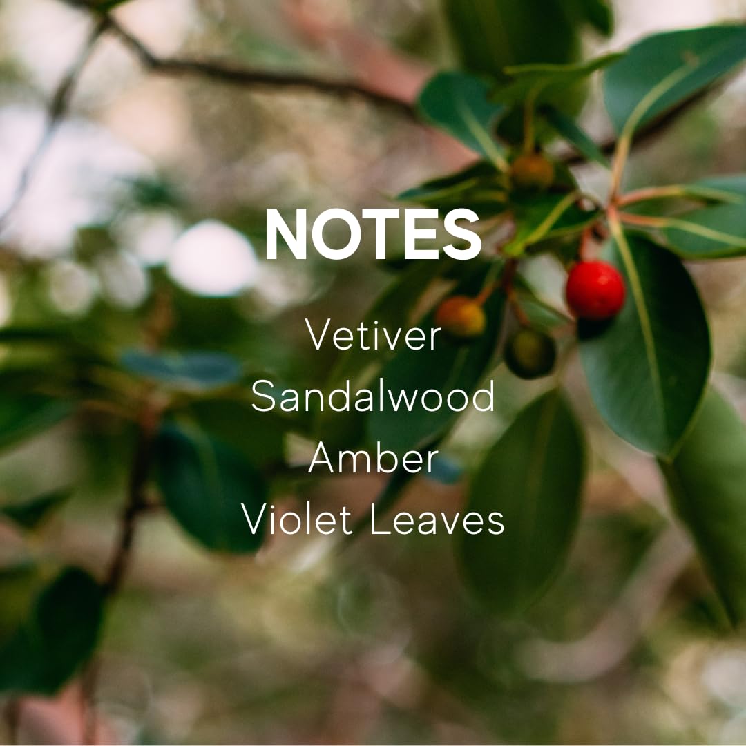 AME BOTANICA Santal & Vetiver Candle | Wood Wick Candles That Crackle | Valentine's Day, Mother's Day, Father's Day Gift | Luxury Scented Candle