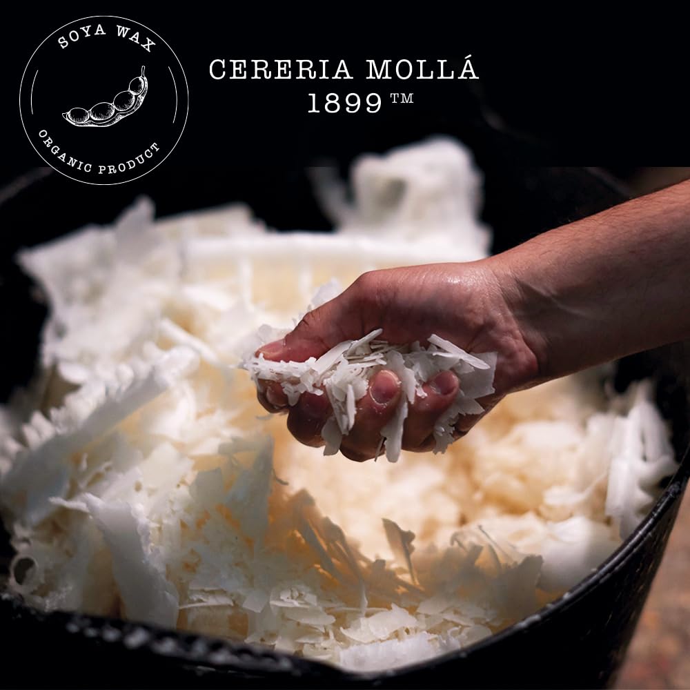 CERERA MOLLA 1899 | Mini Provence Lavender Candle | 70g Aromatic | 20 Hours Burn Time | Natural Fragrances | Recyclable Packaging | Artisan