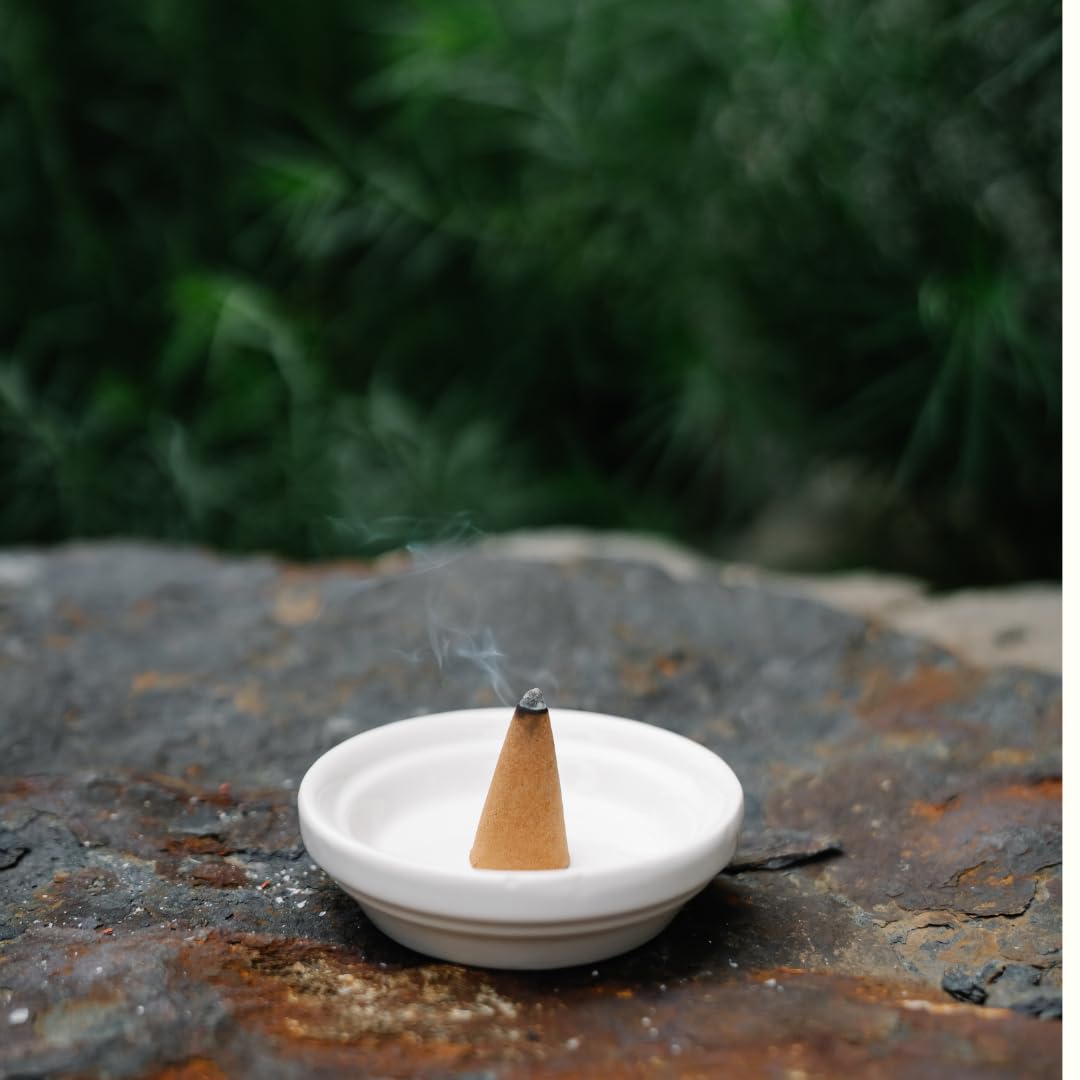 Bless International Cinnamon 100%-Natural-Incense-Cones Handmade-Hand-Dipped Organic-Chemicals-Free for-Purification-Relaxation-Positivity-Yoga-Meditation The-Best-scents (60 Count)
