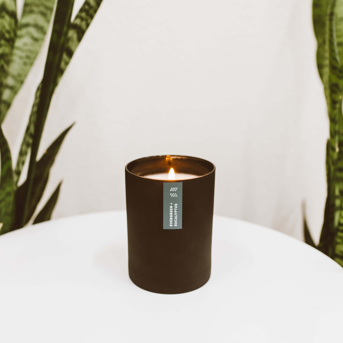 Calyan Wax Co. Evergreen & Eucalyptus Scented Candle - 75 Hour Burn - Luxury Clean Soy Wax Candles - Long Lasting Black Tumbler Jar Candle for Home - 10.2oz
