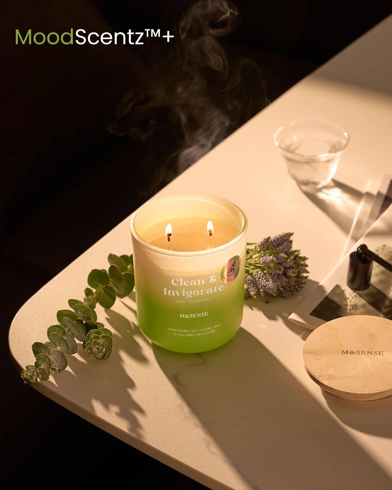 M&SENSE Sage Eucalyptus Scented Candle for Home, 14.1oz 80-Hour Non Toxic Long-Lasting Natural Soy Wax Fragrance, 2 Wick Summer Scented Aromatherapy Candle for Relaxing Stress Relief Meditation Yoga