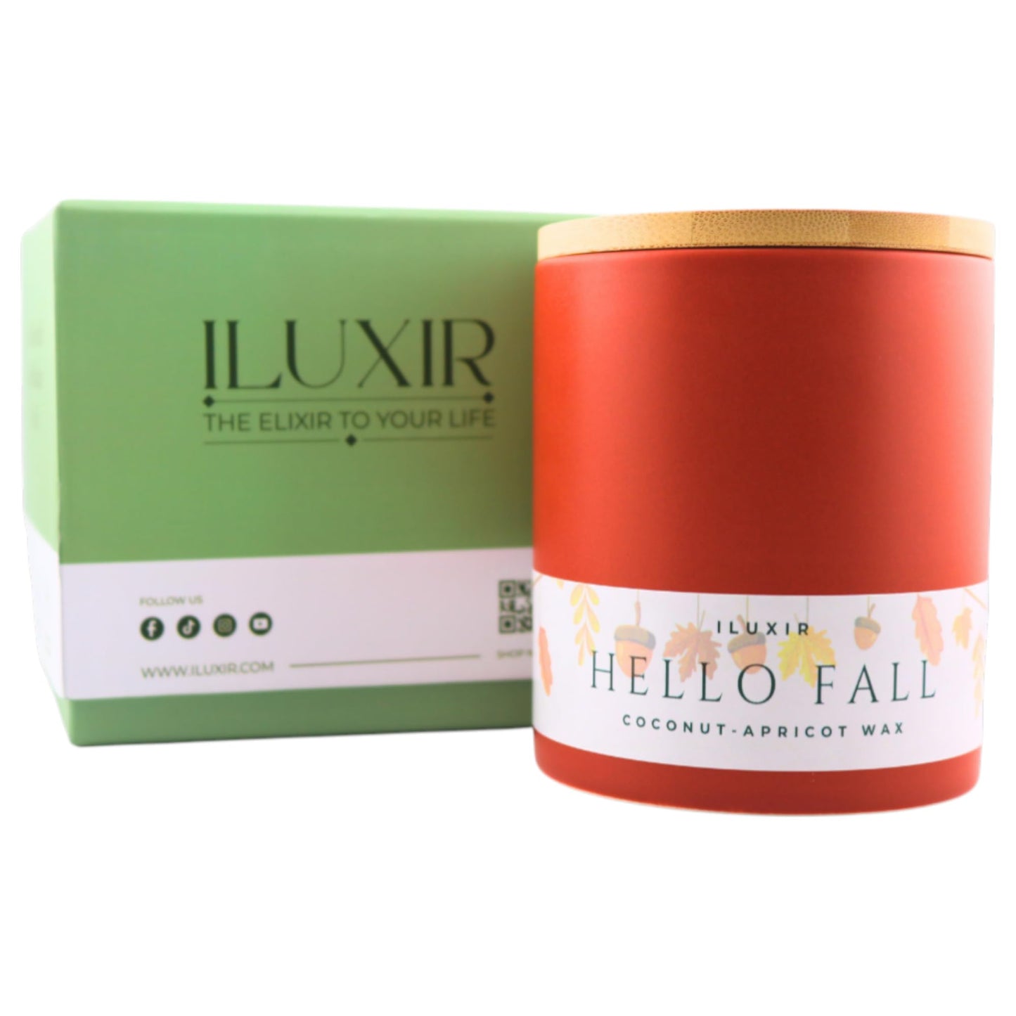 iLUXIR Hello Fall Luxury Candle – Apple Cinnamon, Nutmeg, Clove & Vanilla – Handcrafted Vegan Coconut Wax, Phthalate-Free, Cruelty-Free – Autumn Scented Candle for Home Décor & Gifting (13 oz.)