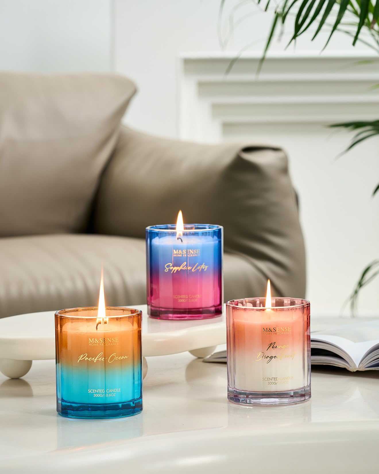 M&SENSE Summer Ocean Scented Candles for Home, 10.6oz Natural Soy Wax, 60-Hour Clean Non Toxic Aromatherapy Candle, Marine Breeze Smelling for Housewarming Gifts