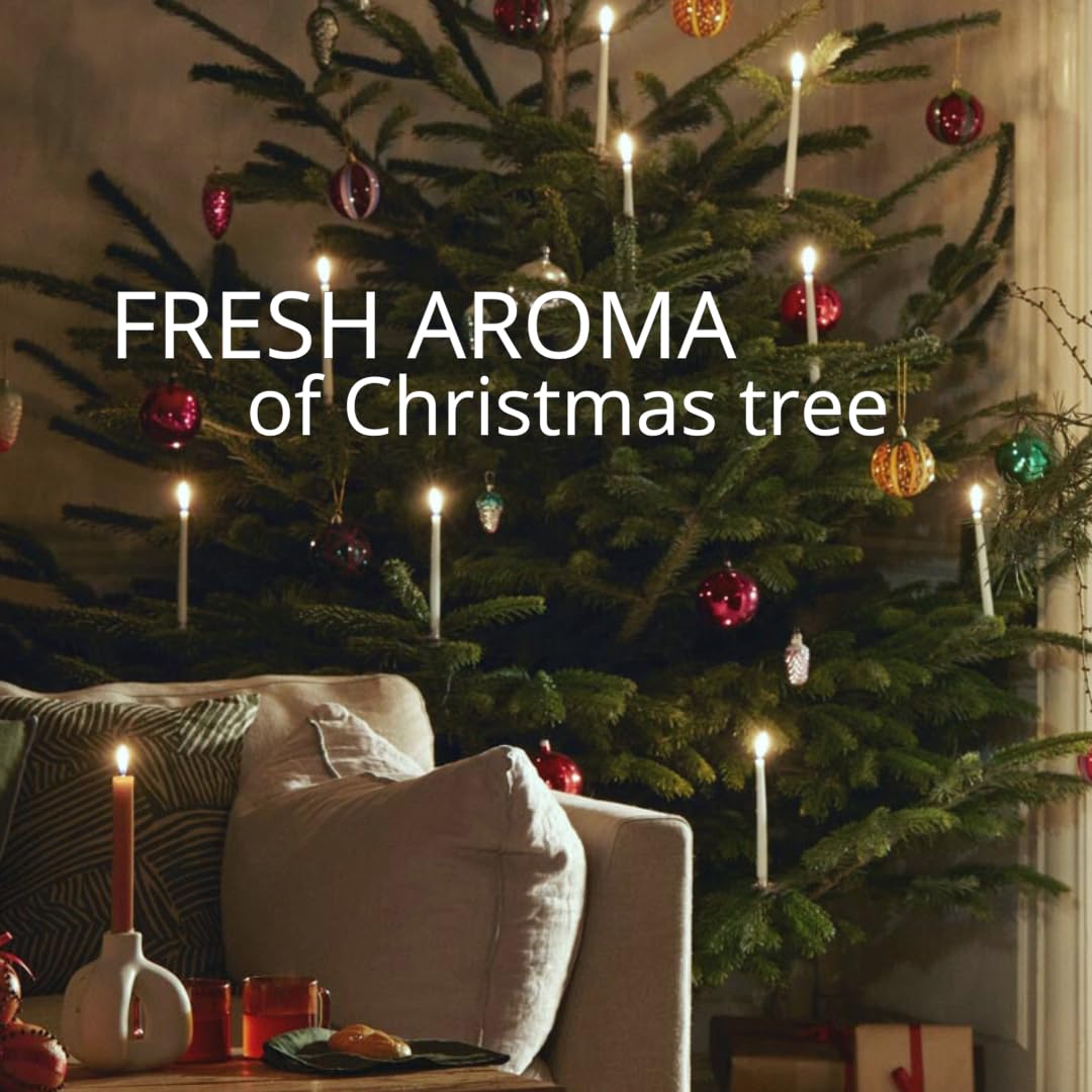 AME BOTANICA Wood Wick Candles That Crackle | Fir Pine Needle Balsam Candle Luxury Scented | Wooden Wick Candle – Hand Poured in The USA – Home Decor – Non Toxic Soy Candles – Gift for Men and Women
