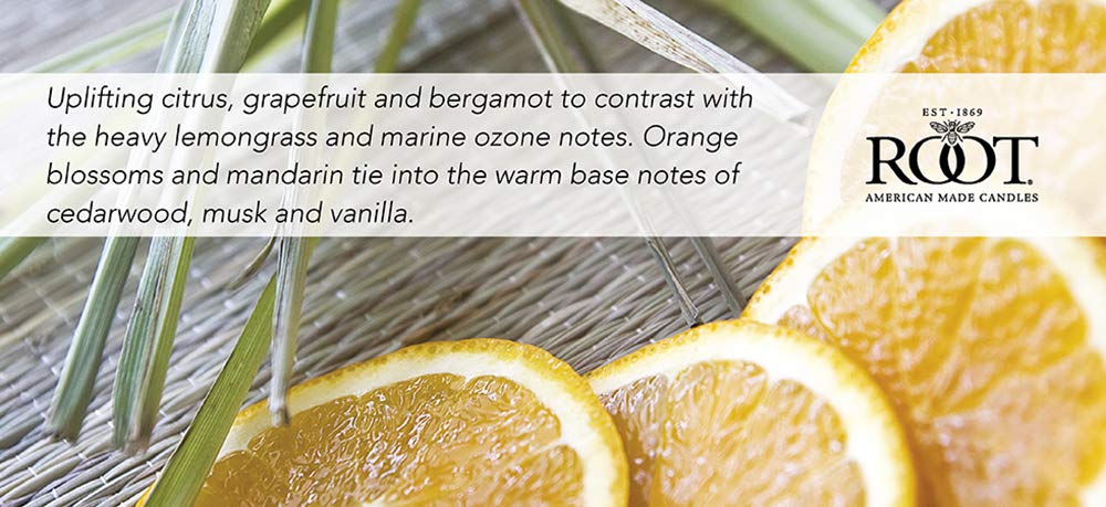 Root Candles Scented Candles Honeycomb Beeswax Blend Premium Handcrafted Candle, Large Veriglass, Tangerine Lemongrass