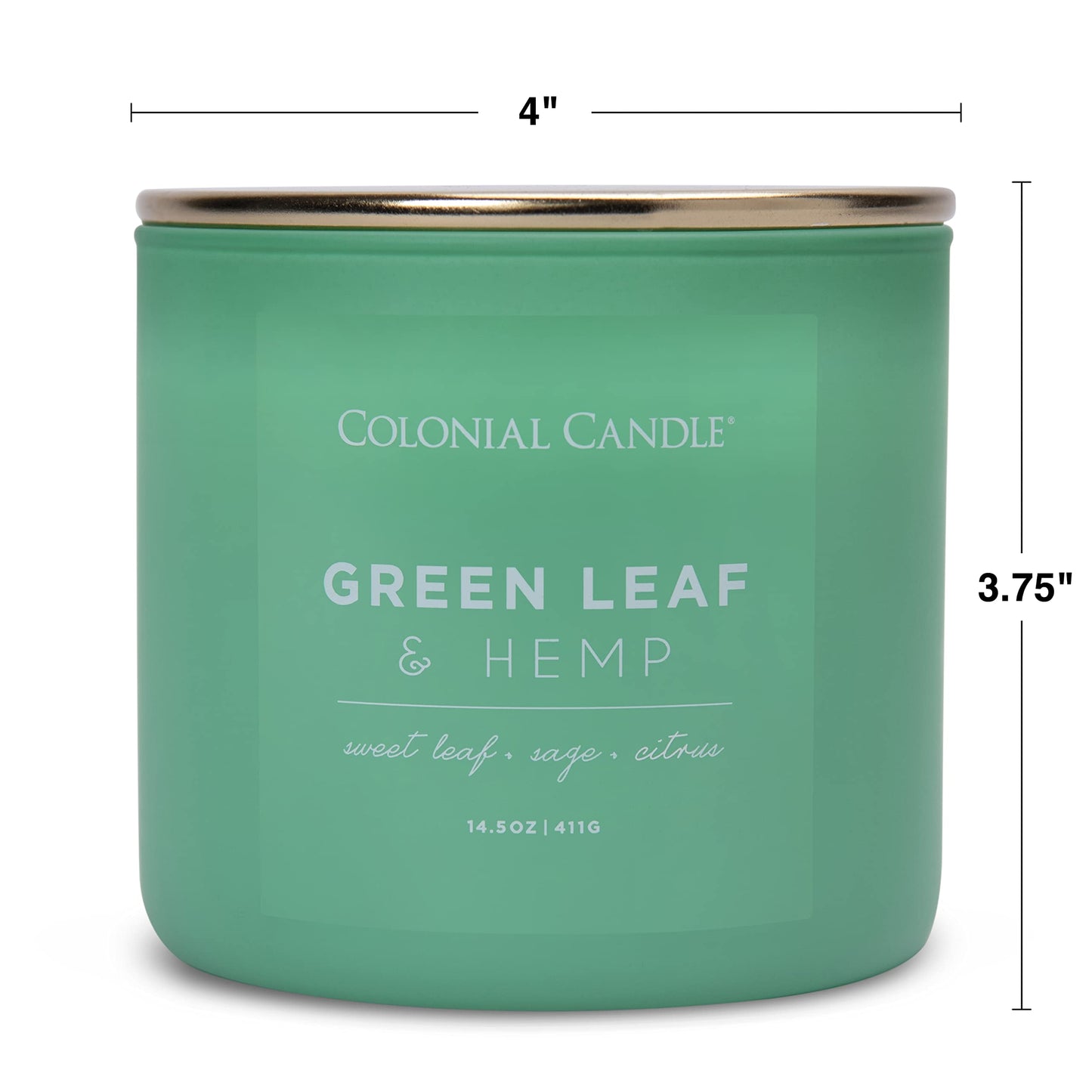 Colonial Candle Green Leaf & Hemp Scented Jar Candle, Pop of Color Collection, 3 Wick, Green, 14.5 oz - Up to 60 Hours Burn