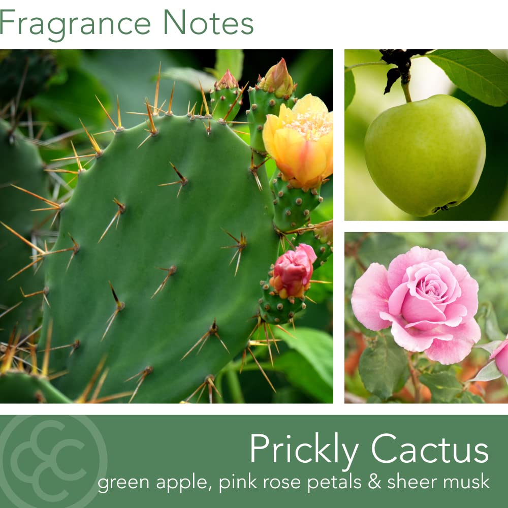 Colonial Candle Prickly Cactus Scented Jar Candle, Desert Collection, Purple, 3 Wick, 14.5 oz