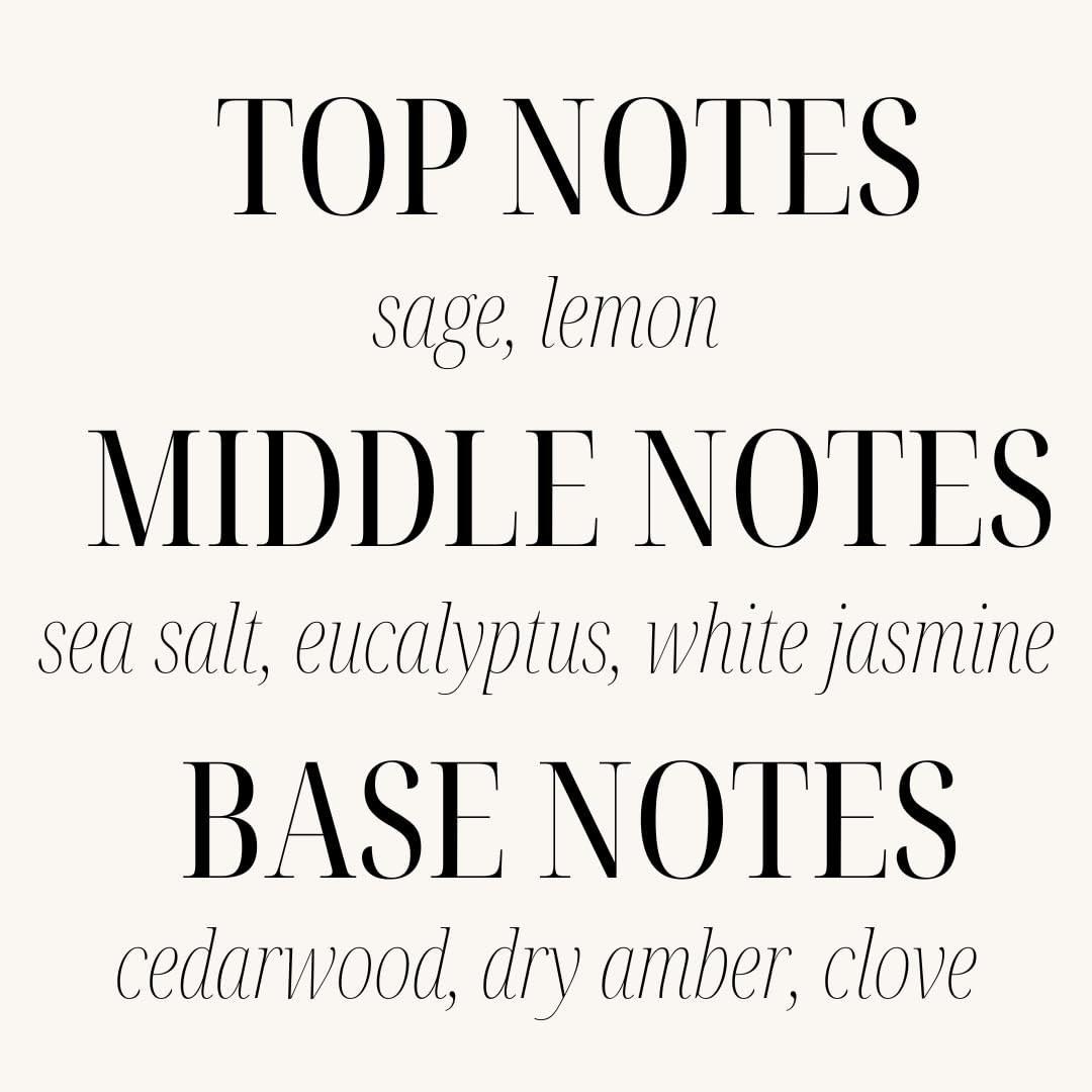 Sand + Fog Scented Candle - Sage & Sea Salt – Additional Scents and Sizes – 100% Cotton Lead-Free Wick - Luxury Air Freshening Jar Candles - Perfect Home Decor – 12oz, Sage Green