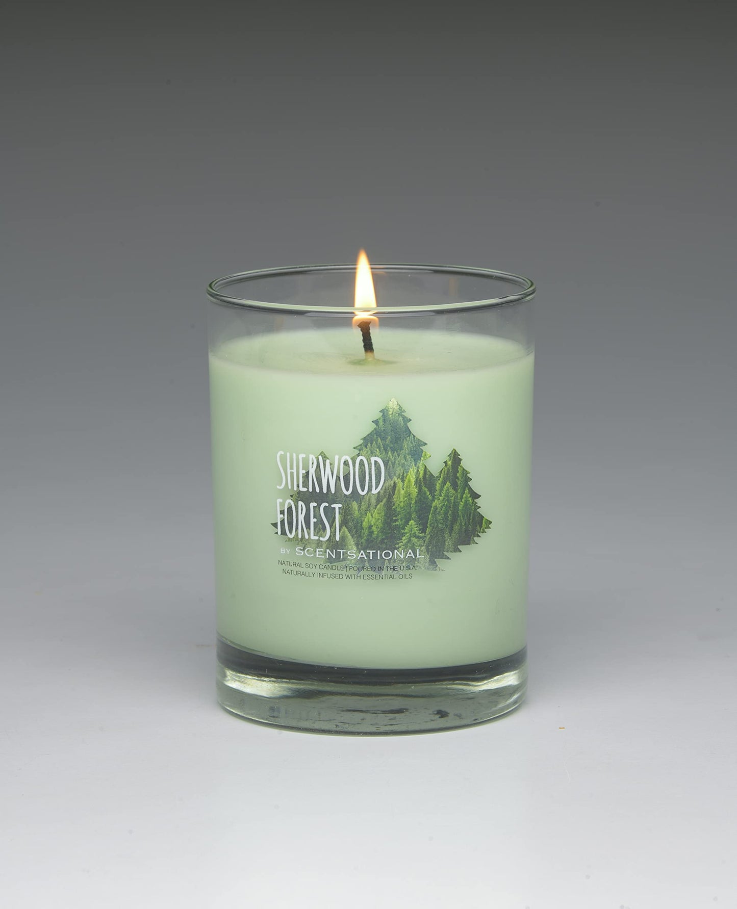 Scentsational Pure Natural Soy Candle Sherwood Forest 11 oz/ 311gr (Christmas Tree)