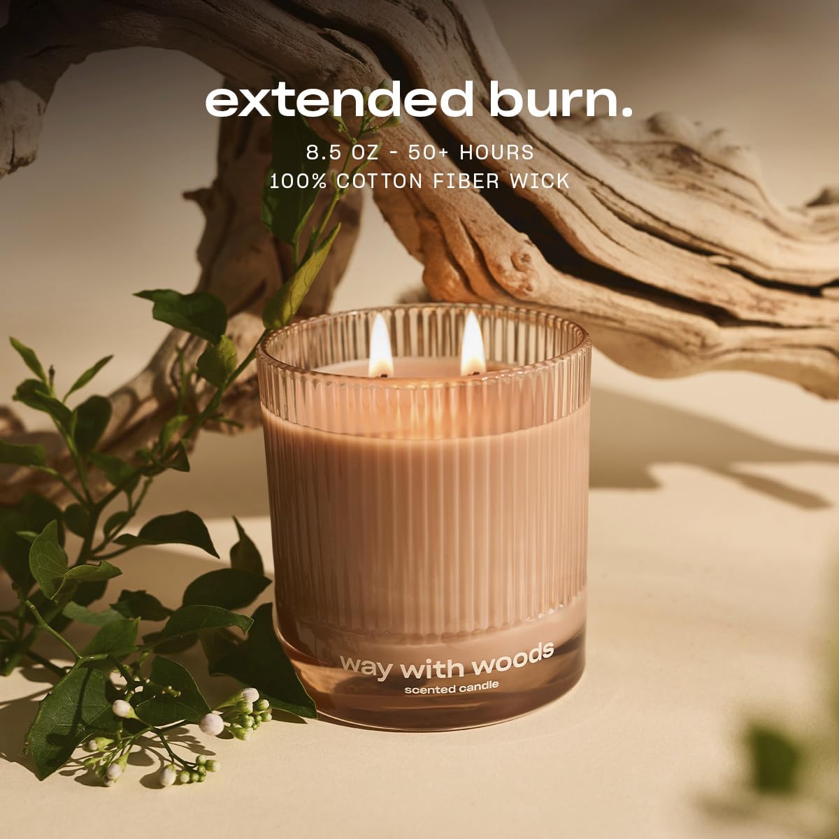 Way with Woods Luxury Scented Candle by Snif, Inviting, Crisp Scent, 50+ Hours, 100% Cotton Fiber Wicks, Soy Wax Blend, Non-Toxic, Vegan, 8.5 oz