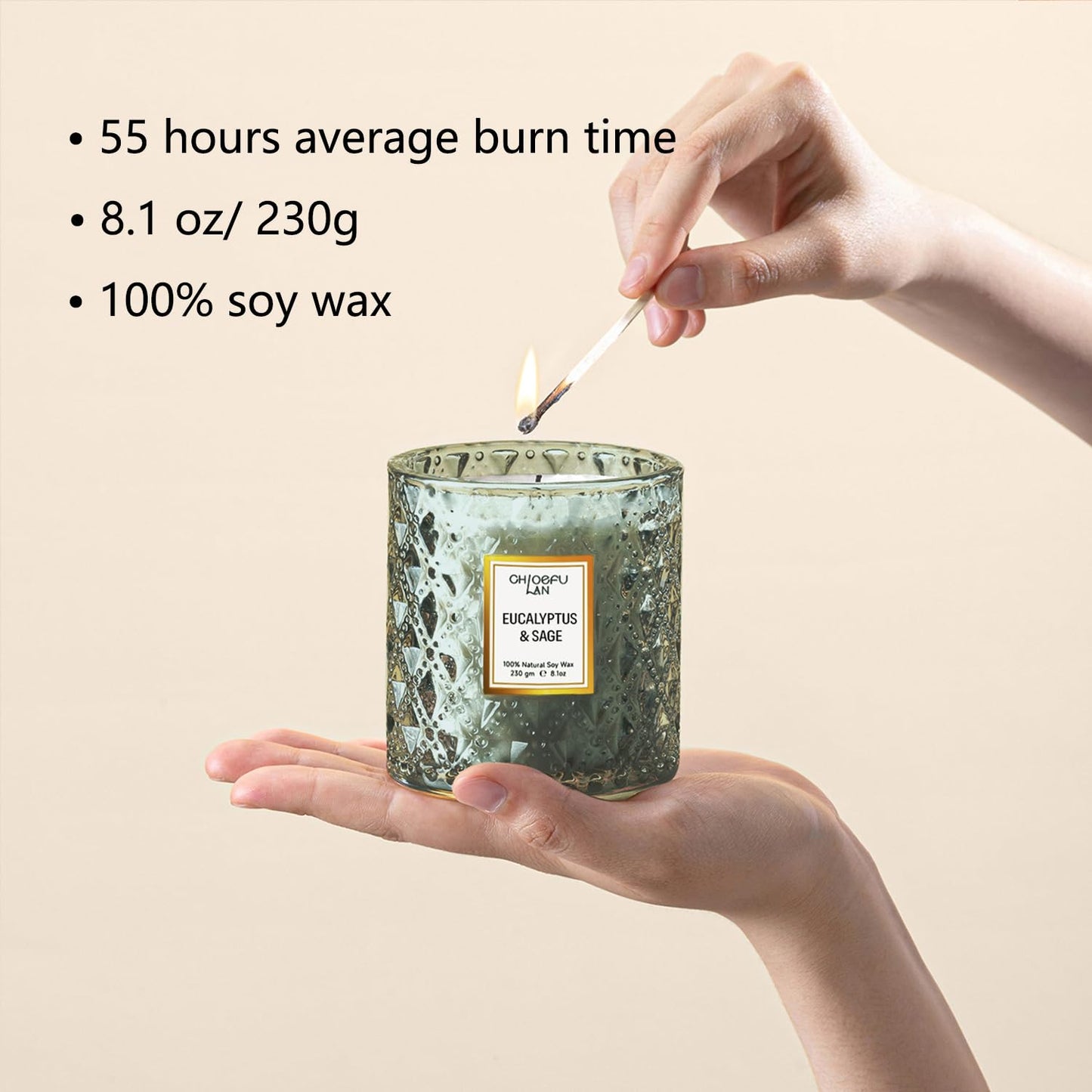 Chloefu LAN Eucalyptus & Sage Scented Candles Luxury Candle with up to 55 Hour Long Lasting, Highly Scented, 100% Soy Wax, 8.1oz, Beautiful Candles, Ideal for Home Decor and Gifts