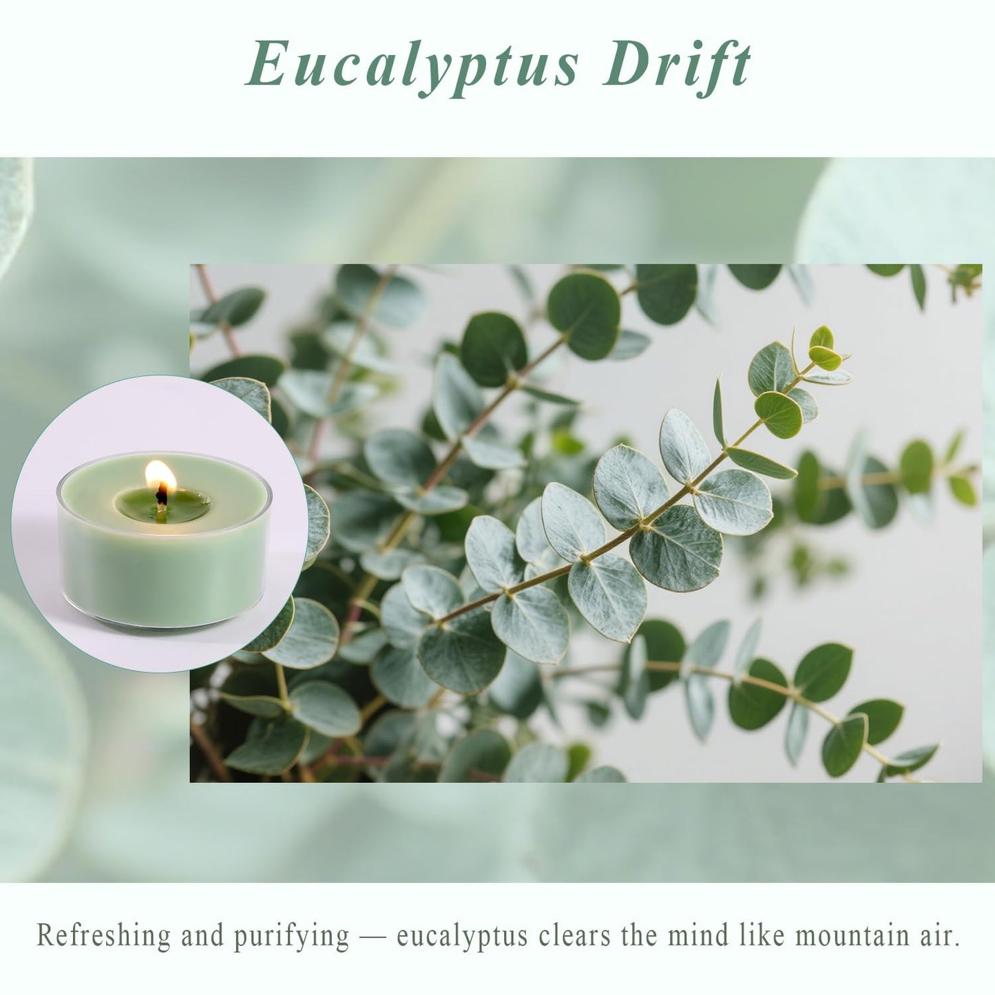Eucalyptus Drift Scented Tea Lights Candles – Grayish Green – 6 Hour Burn – 100% Palm Wax – Scented Tealight Candles for Winter Holidays, Christmas Calm, Spa Vibes – 16 Pack Scent Votive Candle