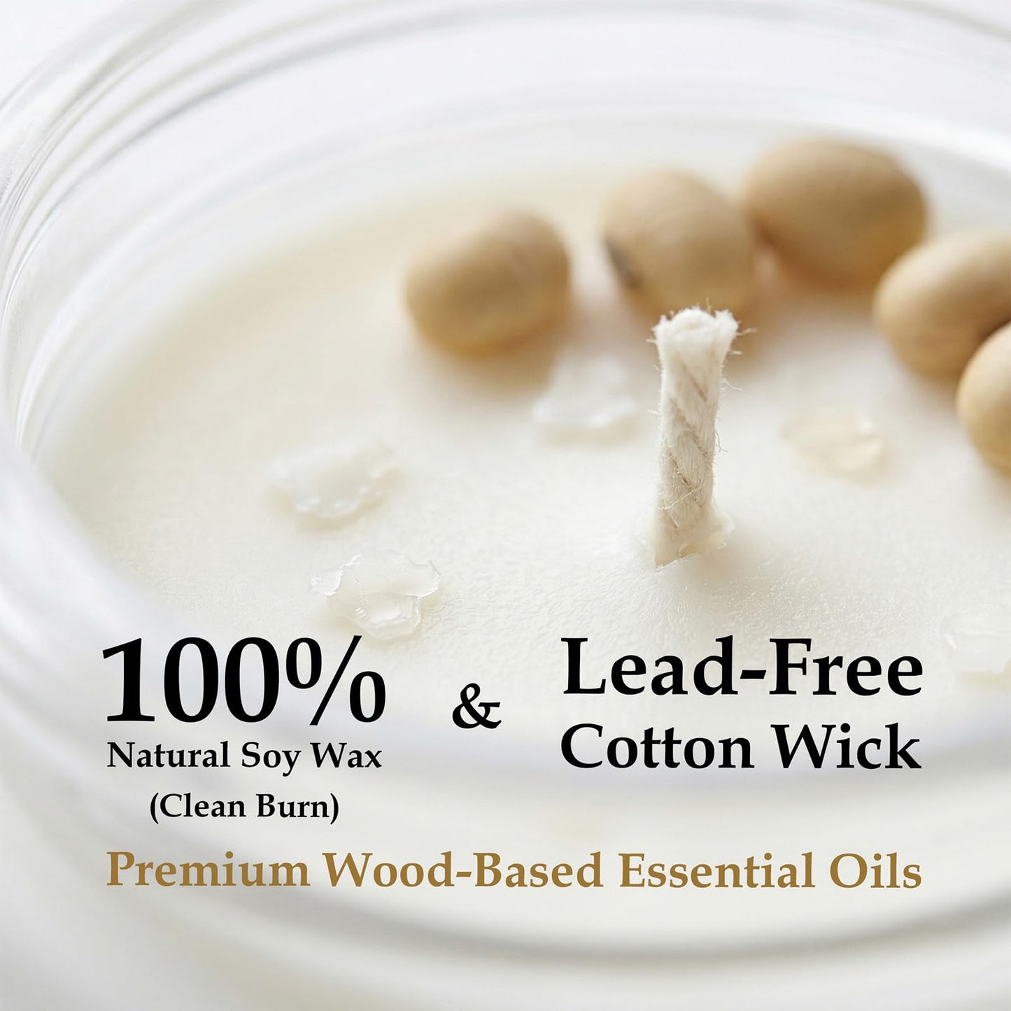 PebblesGift Wood Scented Arboreal Moss Candle 9oz Soy Wax Frosted Glass Jar for Home Decor - Scent Hunter Project Aroma Discovery Card Included - Ideal Gift for Self-Care & Relaxation