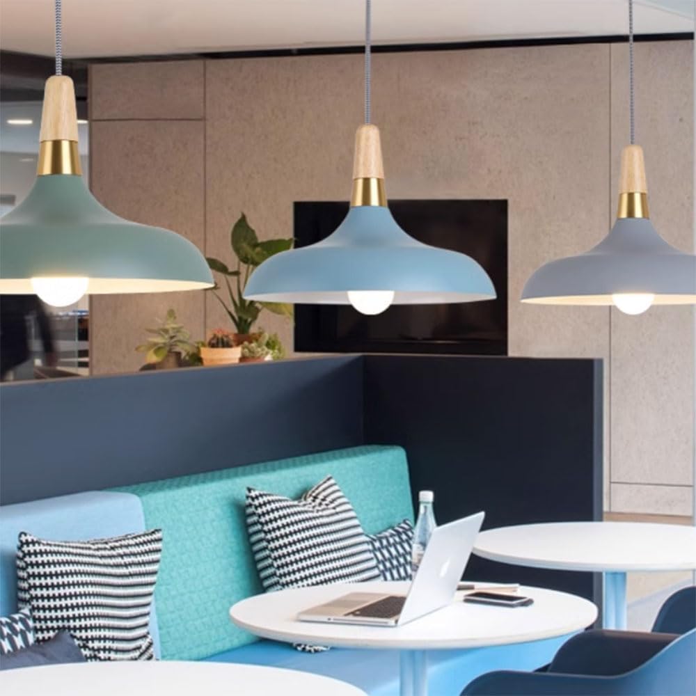 ELEFOCUS Simplicity Pendant Lamps,E27 1-Head Chandelier,Colored Hanging Metal Lampshade,Office Ceiling Lighting Fixture(Color:Black)