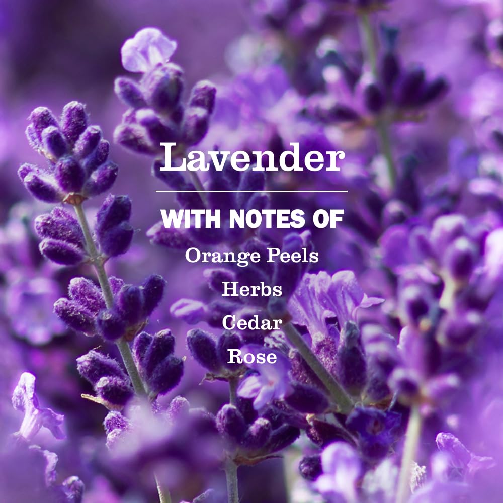 Mrs. Meyer's Clean Day, Soy Candle Lavender, 7.2 Ounce