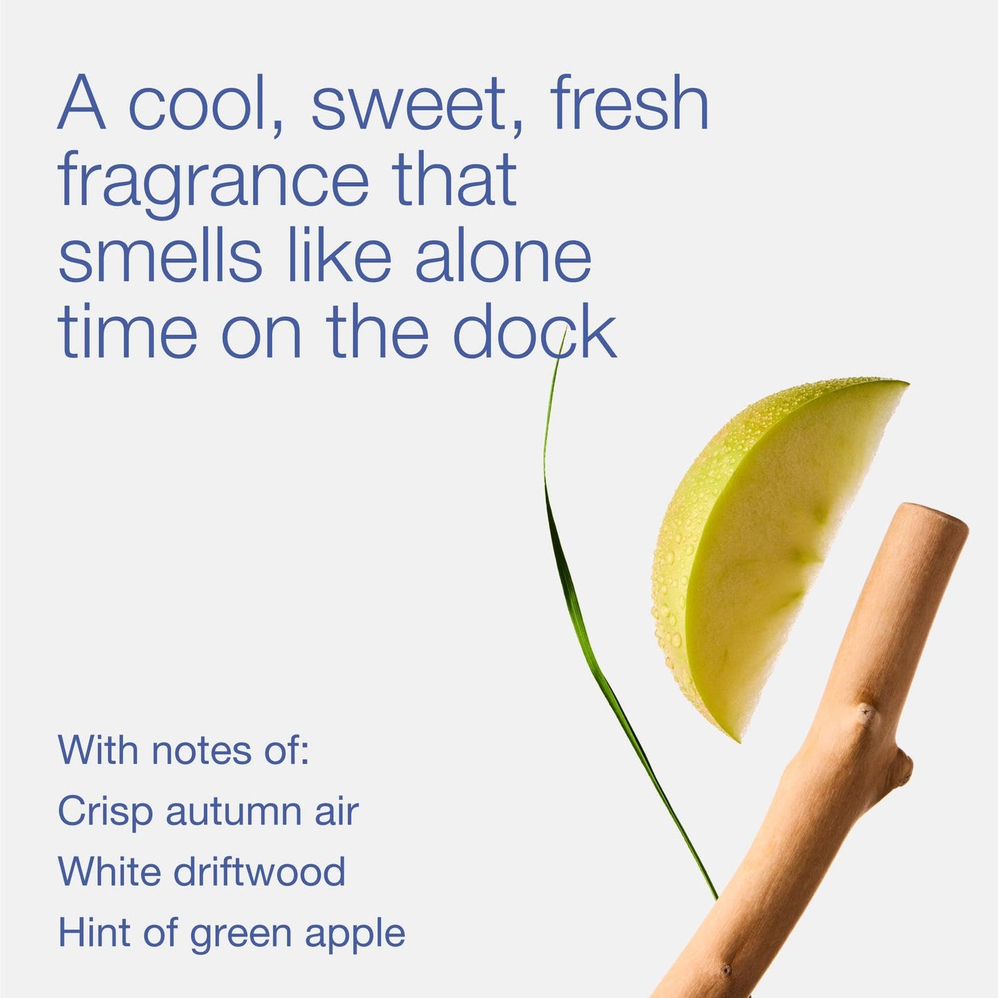 Bath & Body Works Lakeside Morning 3-Wick Candle - Scented Candle for At-Home Use - Long-Lasting, Room-Filling Fragrance - High Fragrance Oil Concentration - Soy Wax Blend