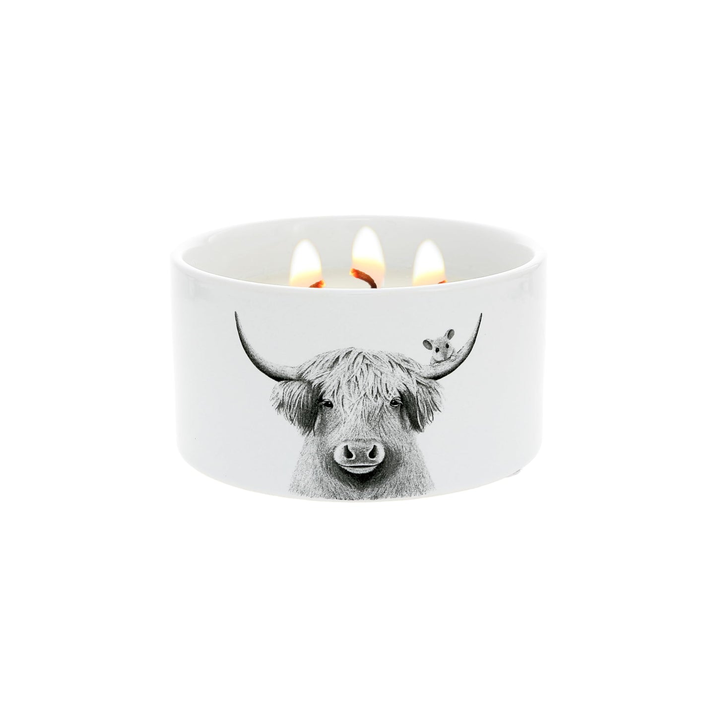 Pavilion Gift Company - Highland Cow - 10 oz Rustic Farmhouse Wax Reveal Hidden Surprise Art Work Jasmine Scented Housewarming Highland Cow Farm Animal Lover Gift