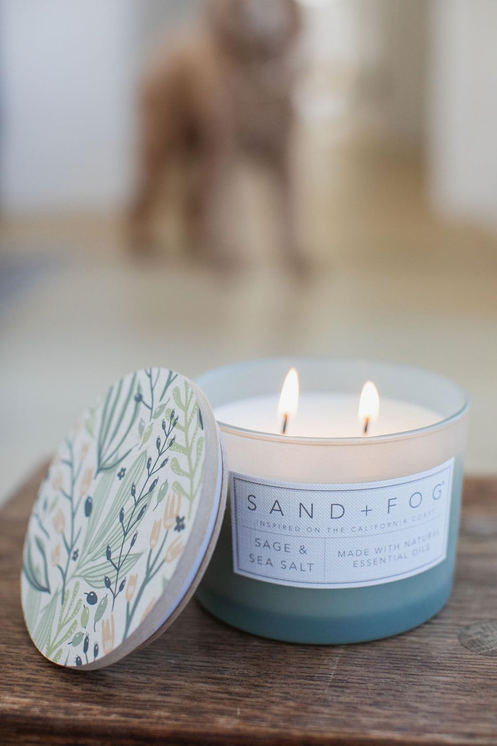 Sand + Fog Scented Candle - Sage & Sea Salt – Additional Scents and Sizes – 100% Cotton Lead-Free Wick - Luxury Air Freshening Jar Candles - Perfect Home Decor – 12oz, Sage Green