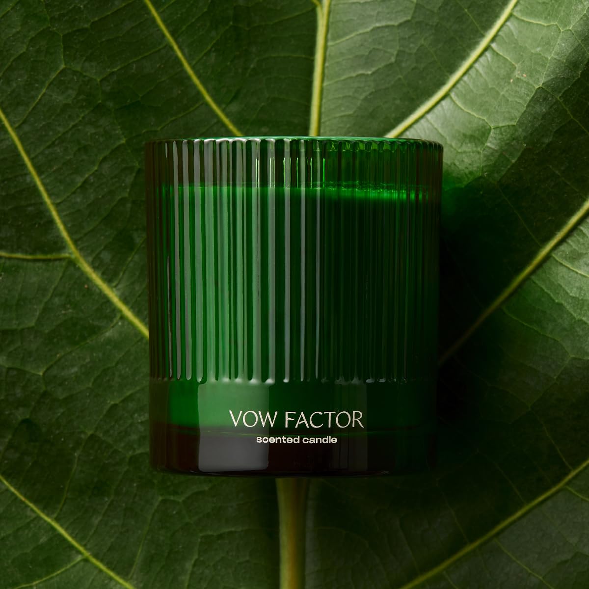 Vow Factor Luxury Scented Candle by Snif, Floral and Citrus Scent, 50+ Hours, 100% Cotton Fiber Wicks, Soy Wax Blend, Non-Toxic, Vegan, 8.5 oz