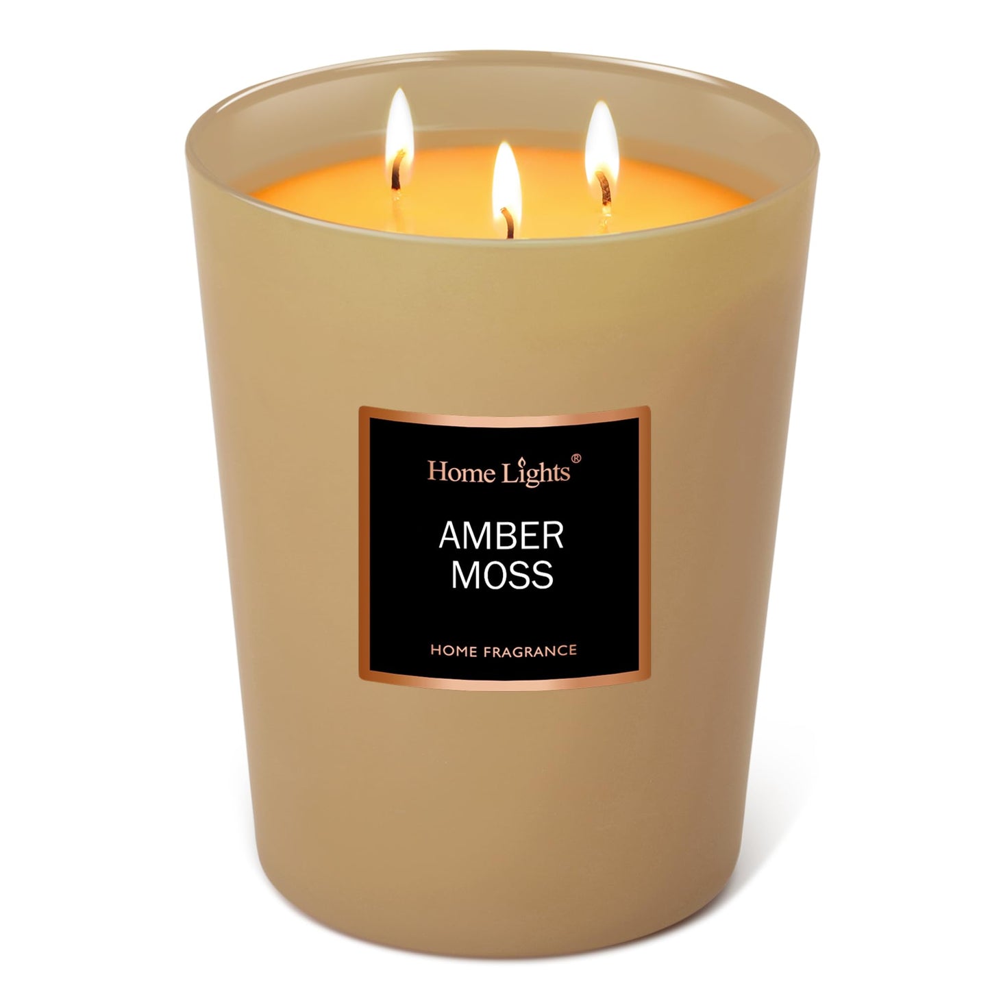 HomeLights Scented Candles - Large Jar Aromatherapy, Natural Soy Wax, 130 Hour Long Burning, Amber Moss