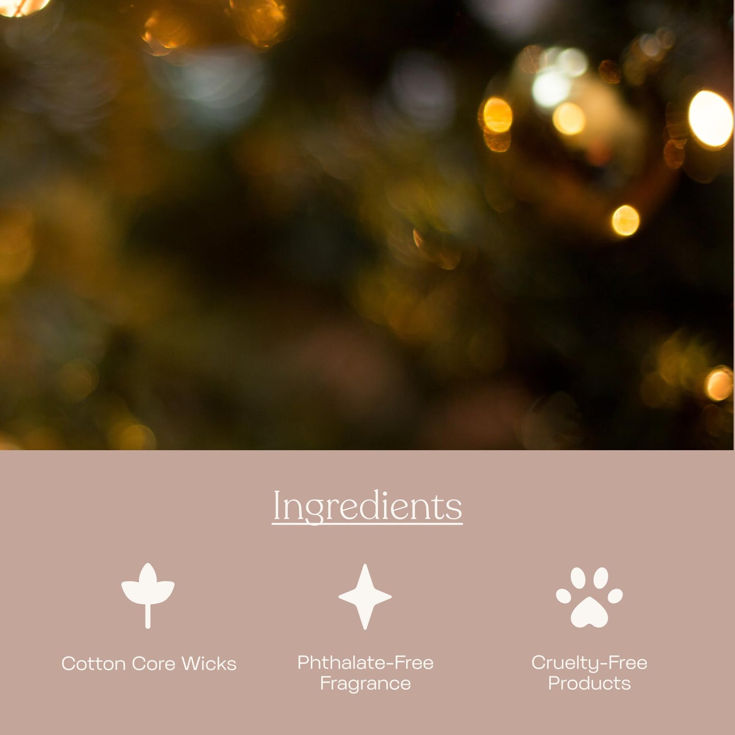 Anecdote Candles ‘Spiked & Spiced' Coconut Soy Wax Candle Jar | Premium Hand Poured & Long Burning | Red Wine & Cinnamon Scent | Phthalate-Free | for Home, Office, Gift - 9 Oz